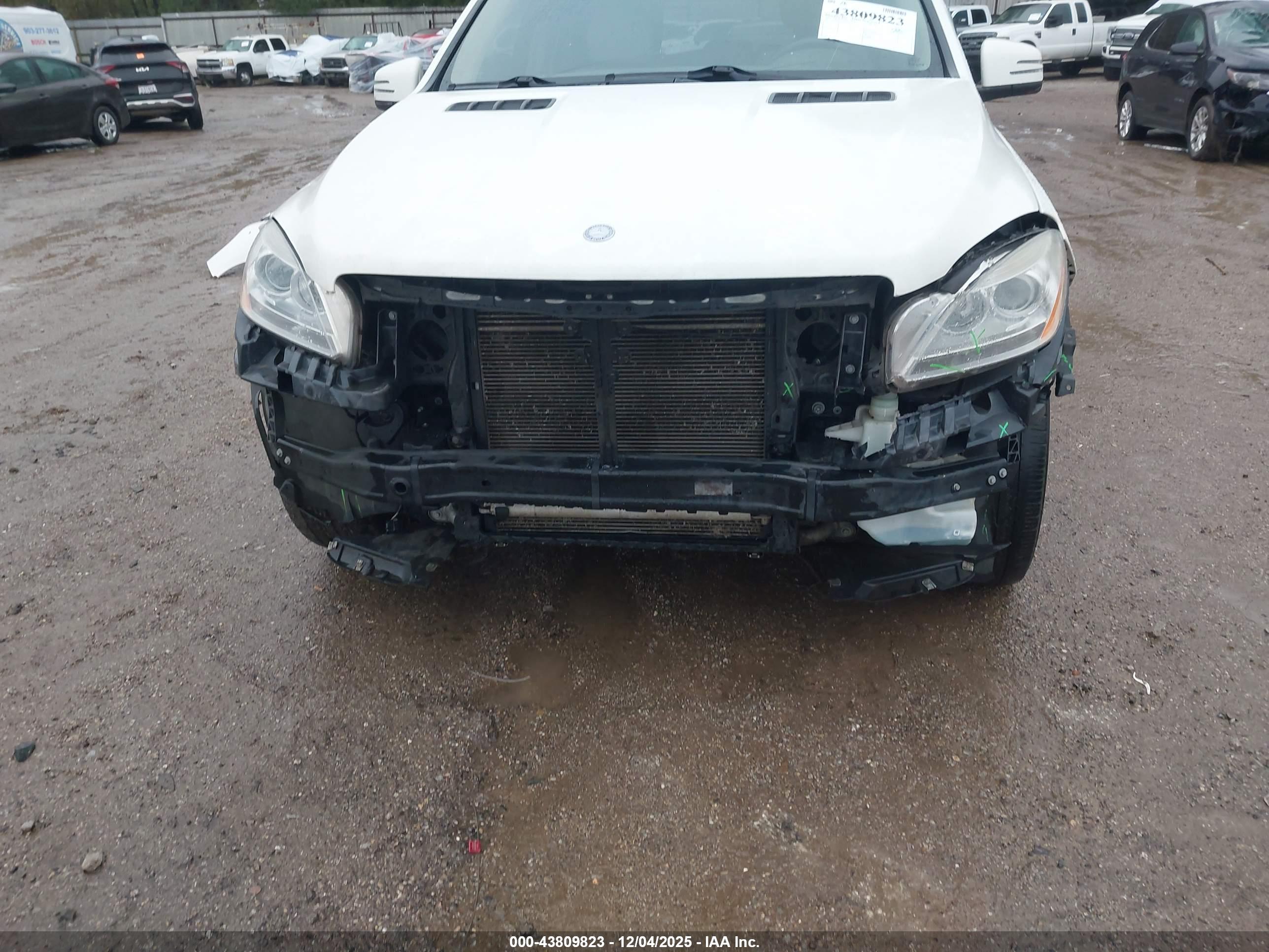 MERCEDES-BENZ ML image 6