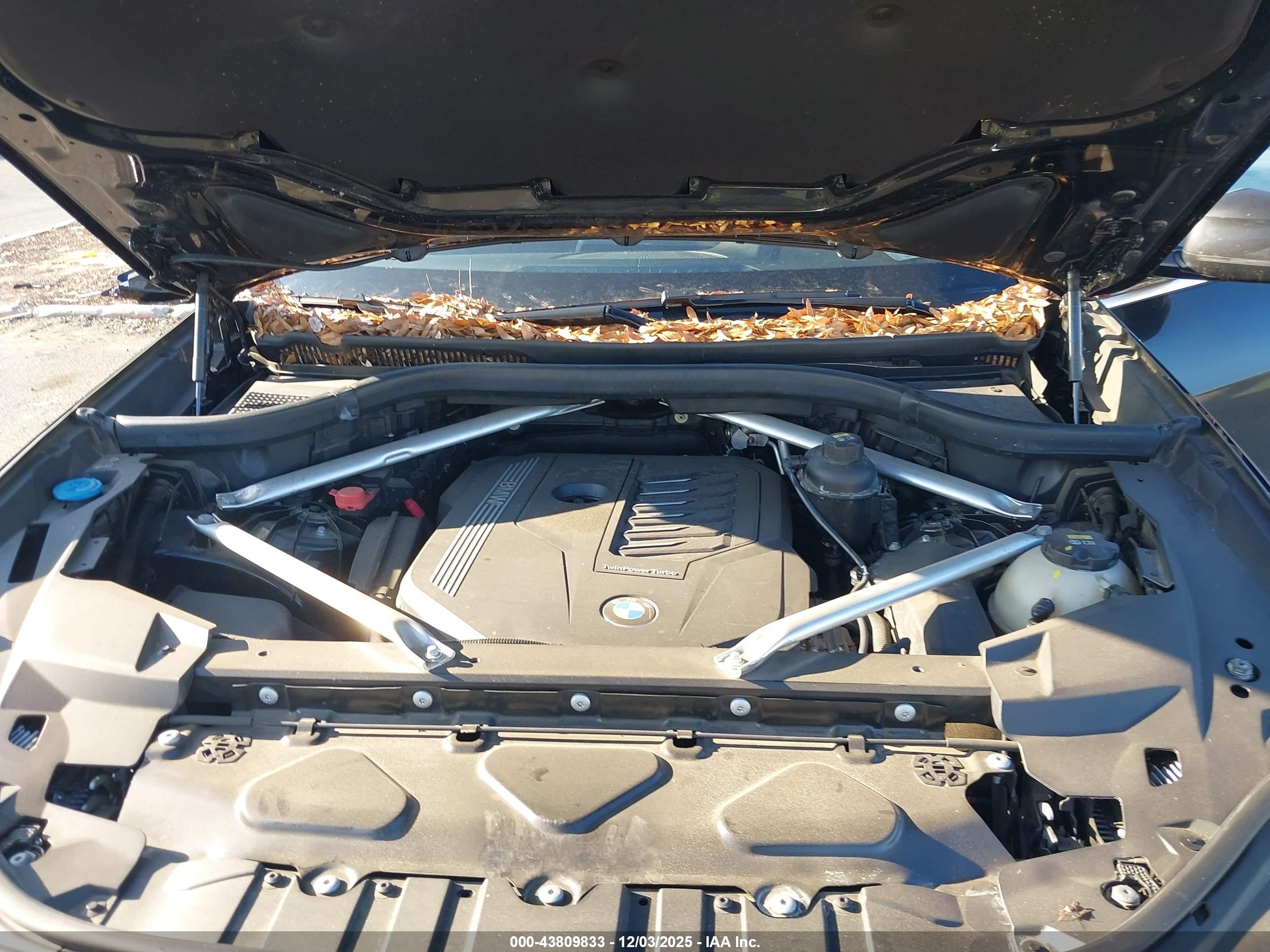 BMW X5 image 10