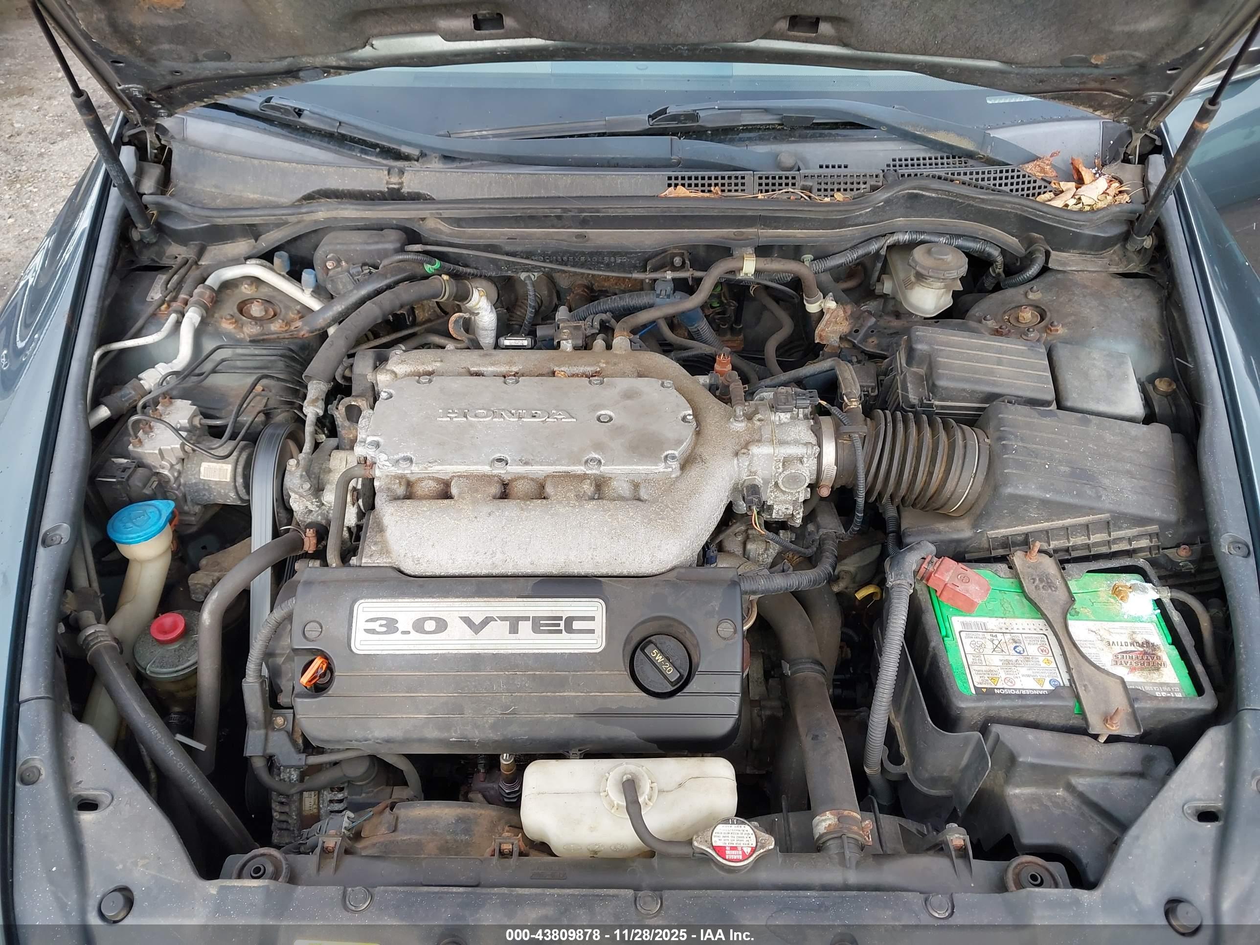 HONDA ACCORD image 10