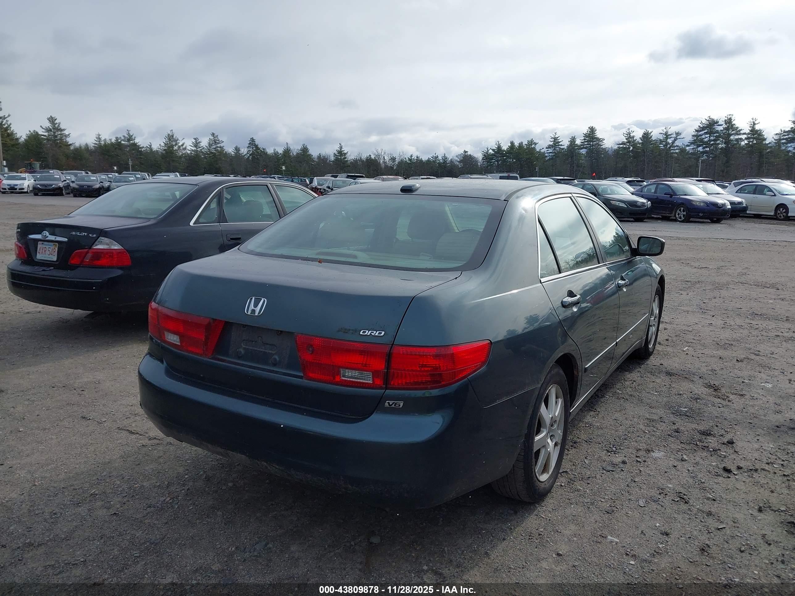 HONDA ACCORD image 4