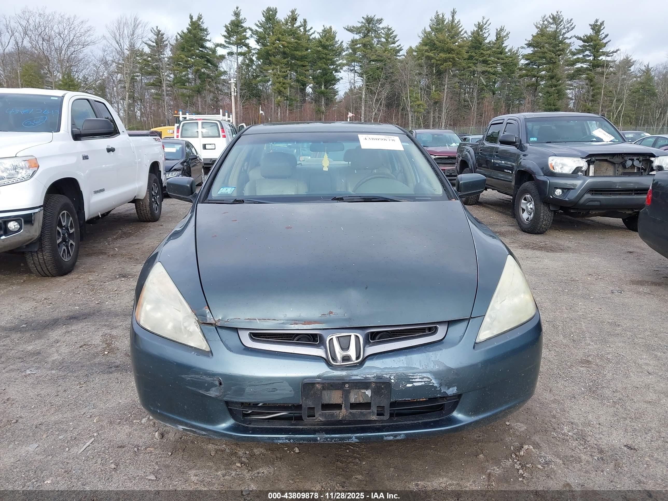 HONDA ACCORD image 6