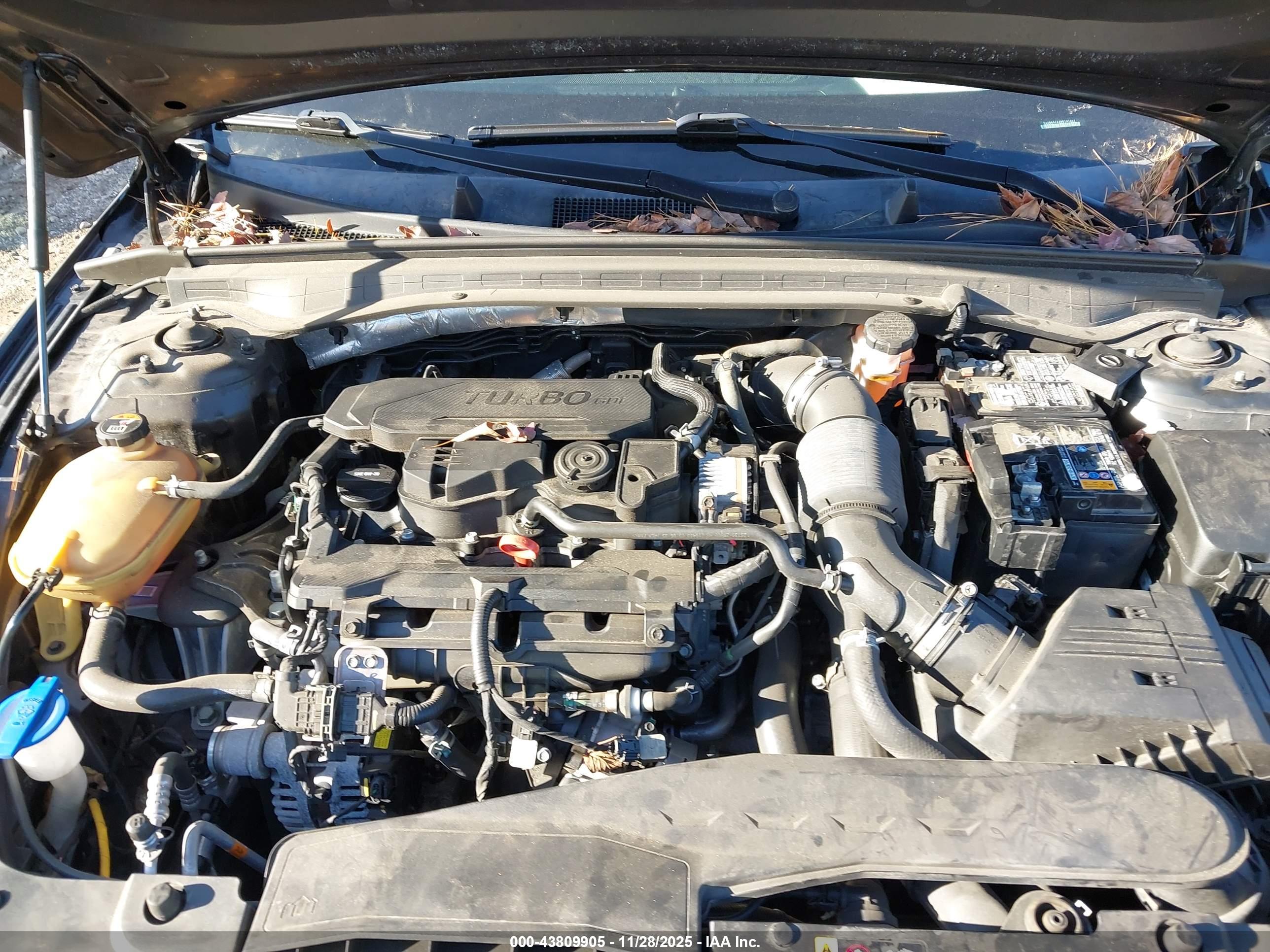 KIA K5 image 10