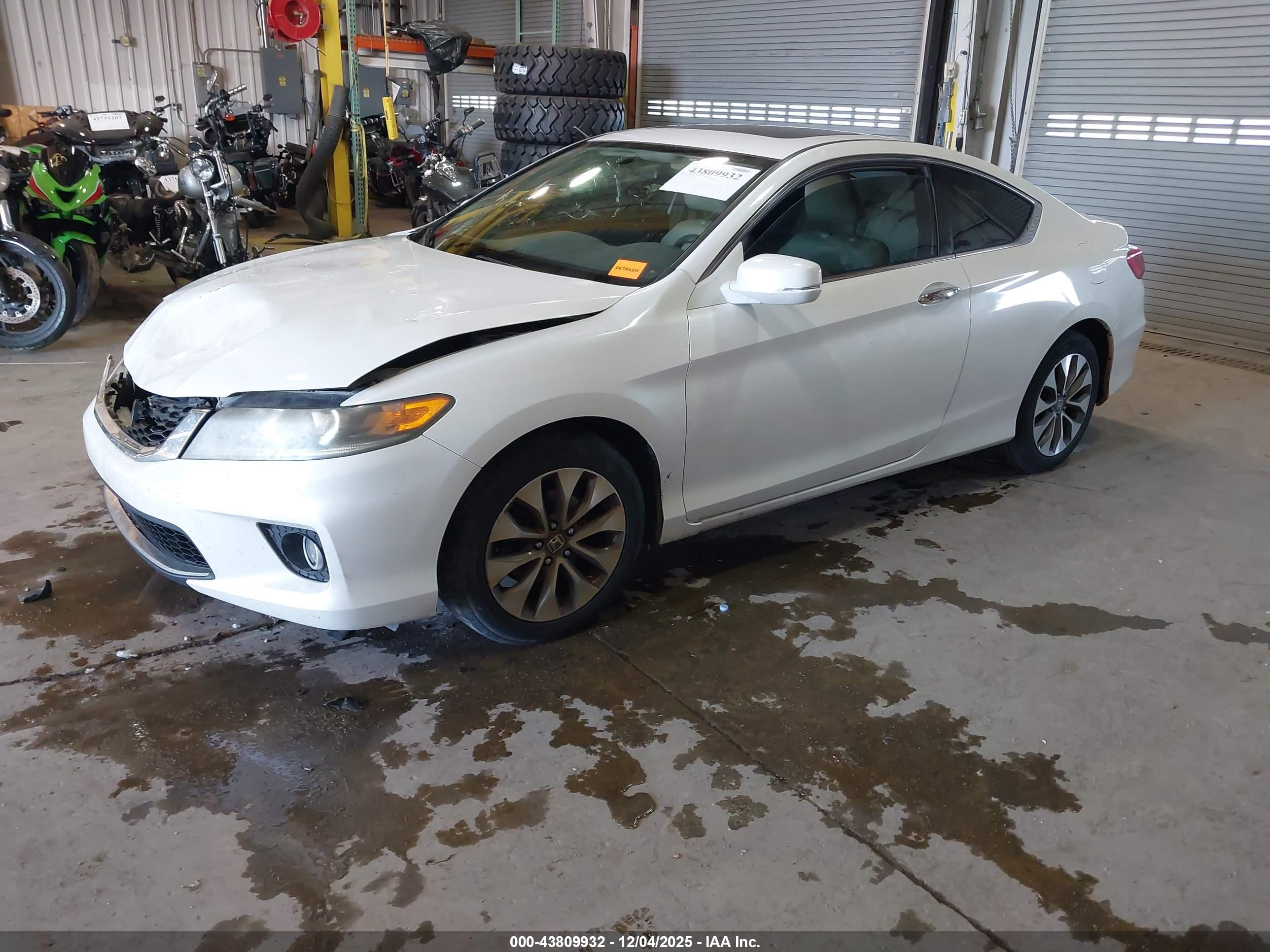 HONDA ACCORD image 2