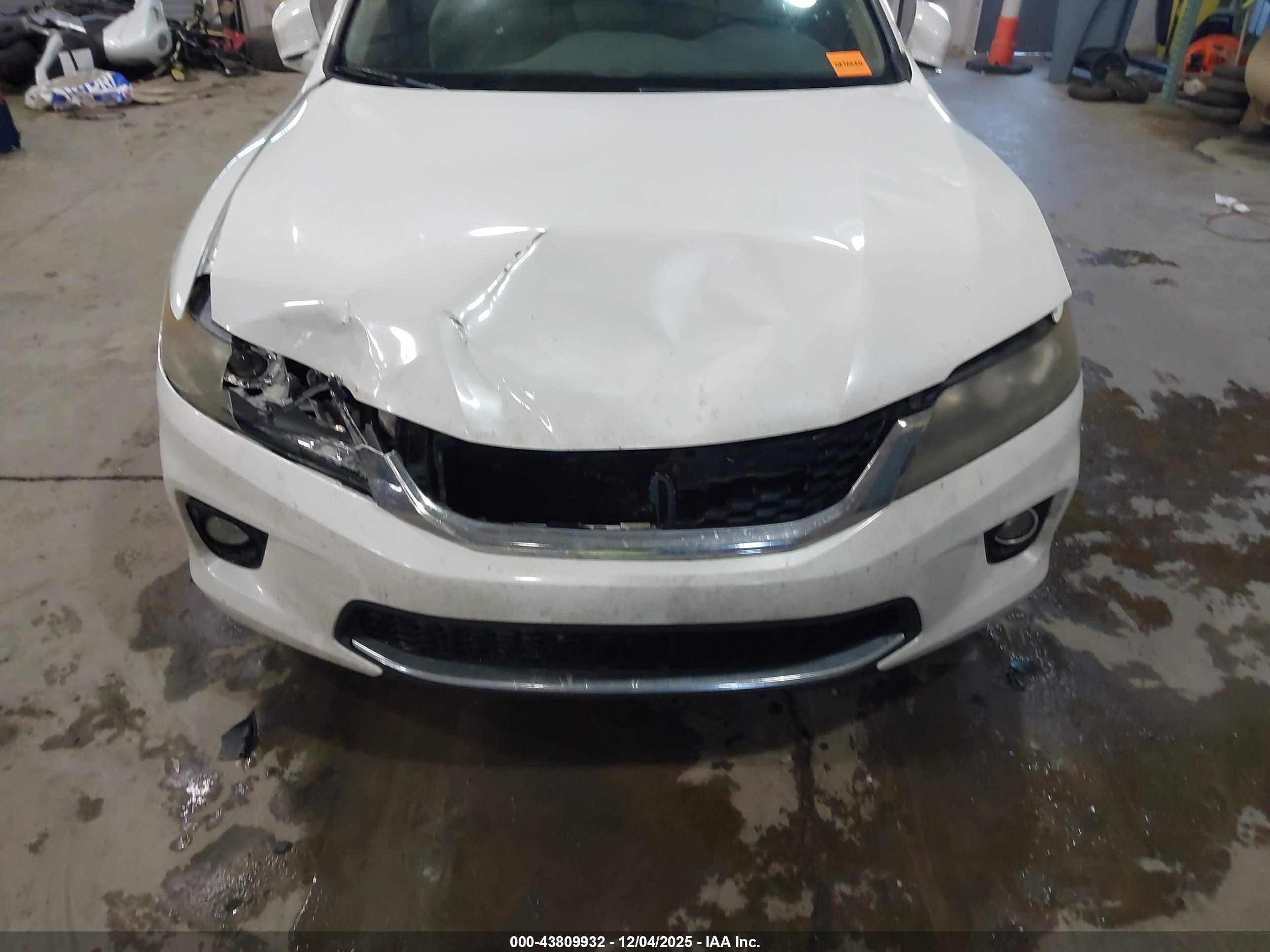 HONDA ACCORD image 6