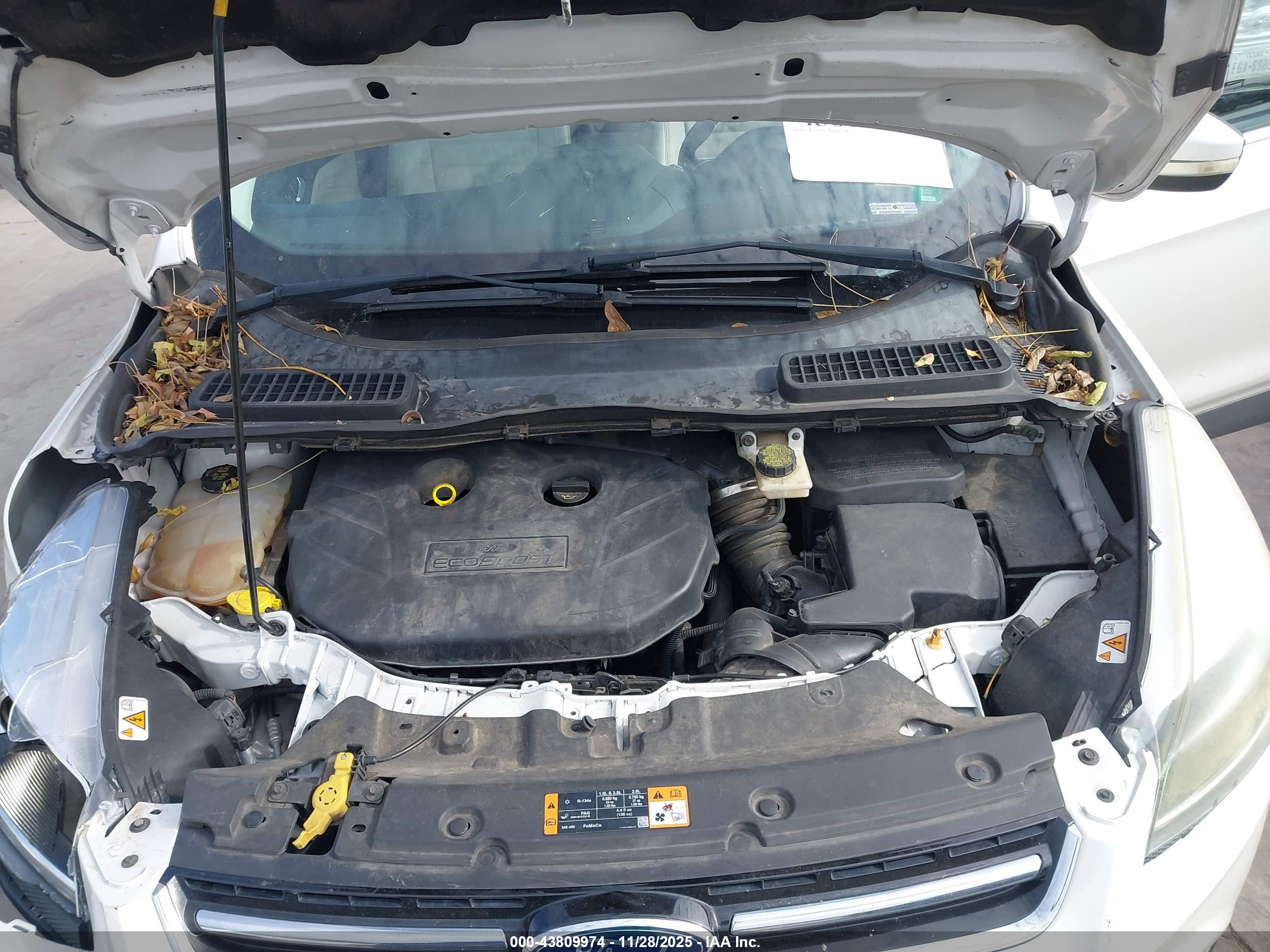 FORD ESCAPE image 10