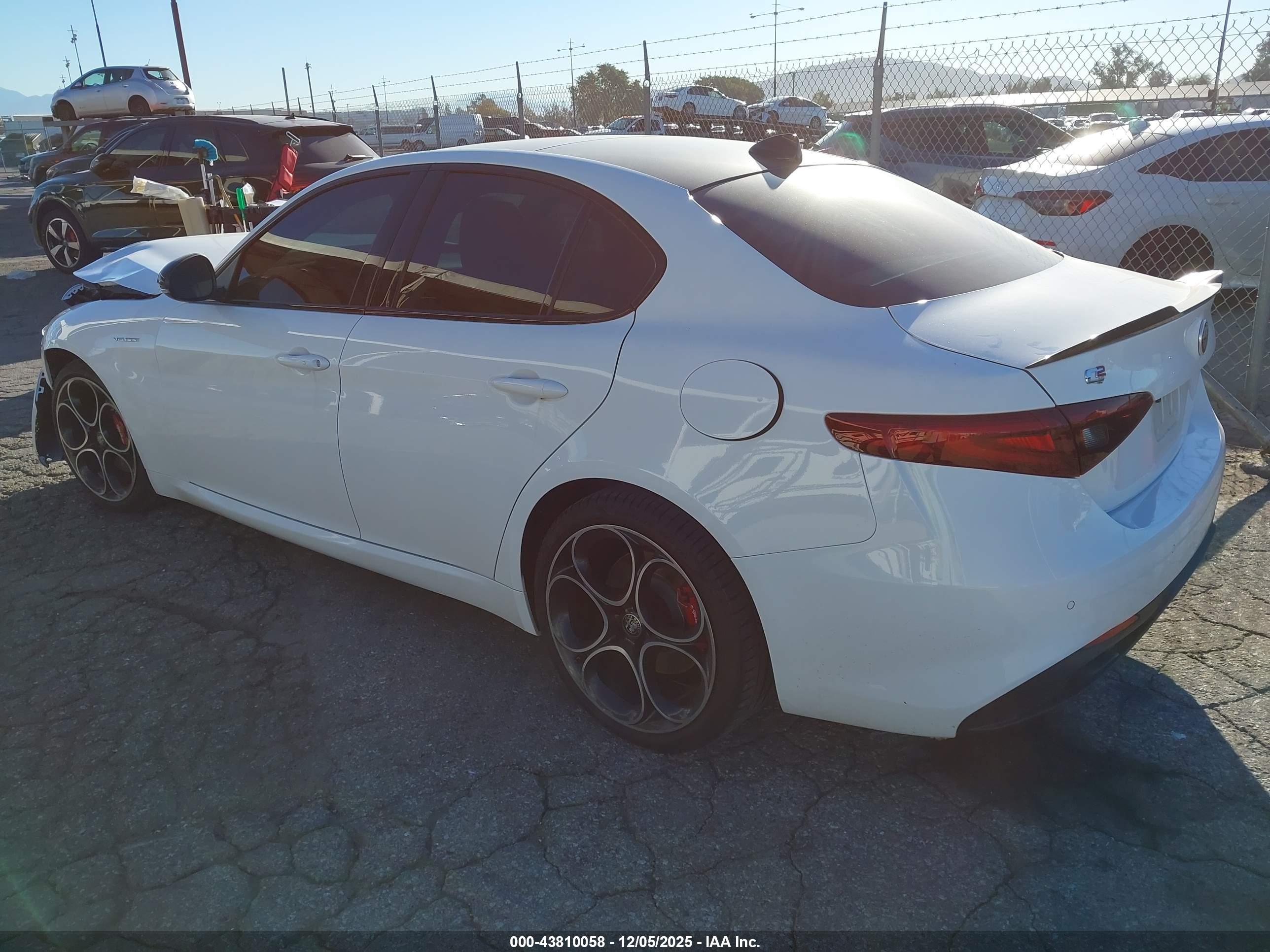 ALFA ROMEO image 3