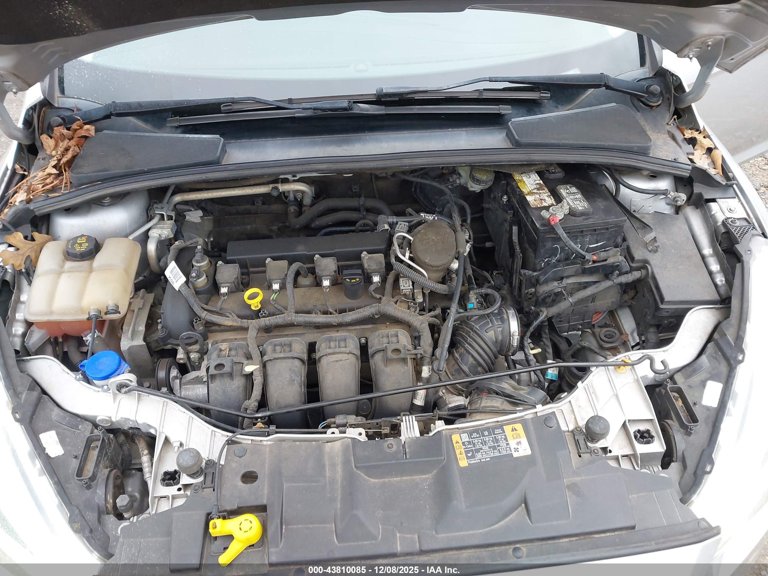 FORD FOCUS image 10