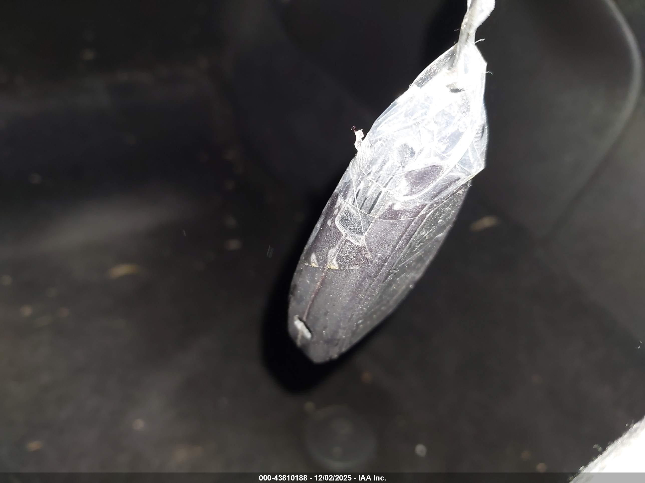 FORD FOCUS image 11