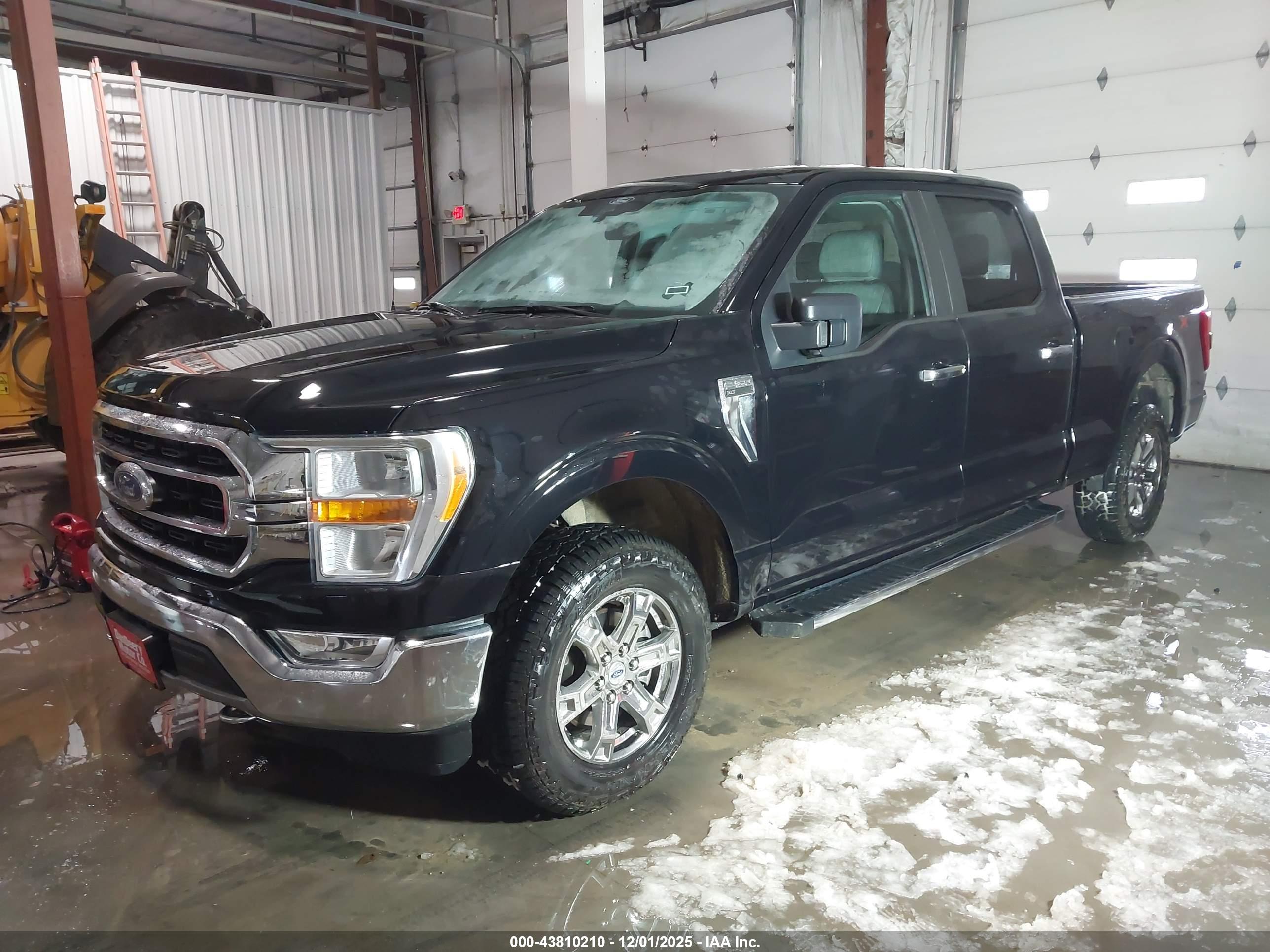 FORD F-150 image 2