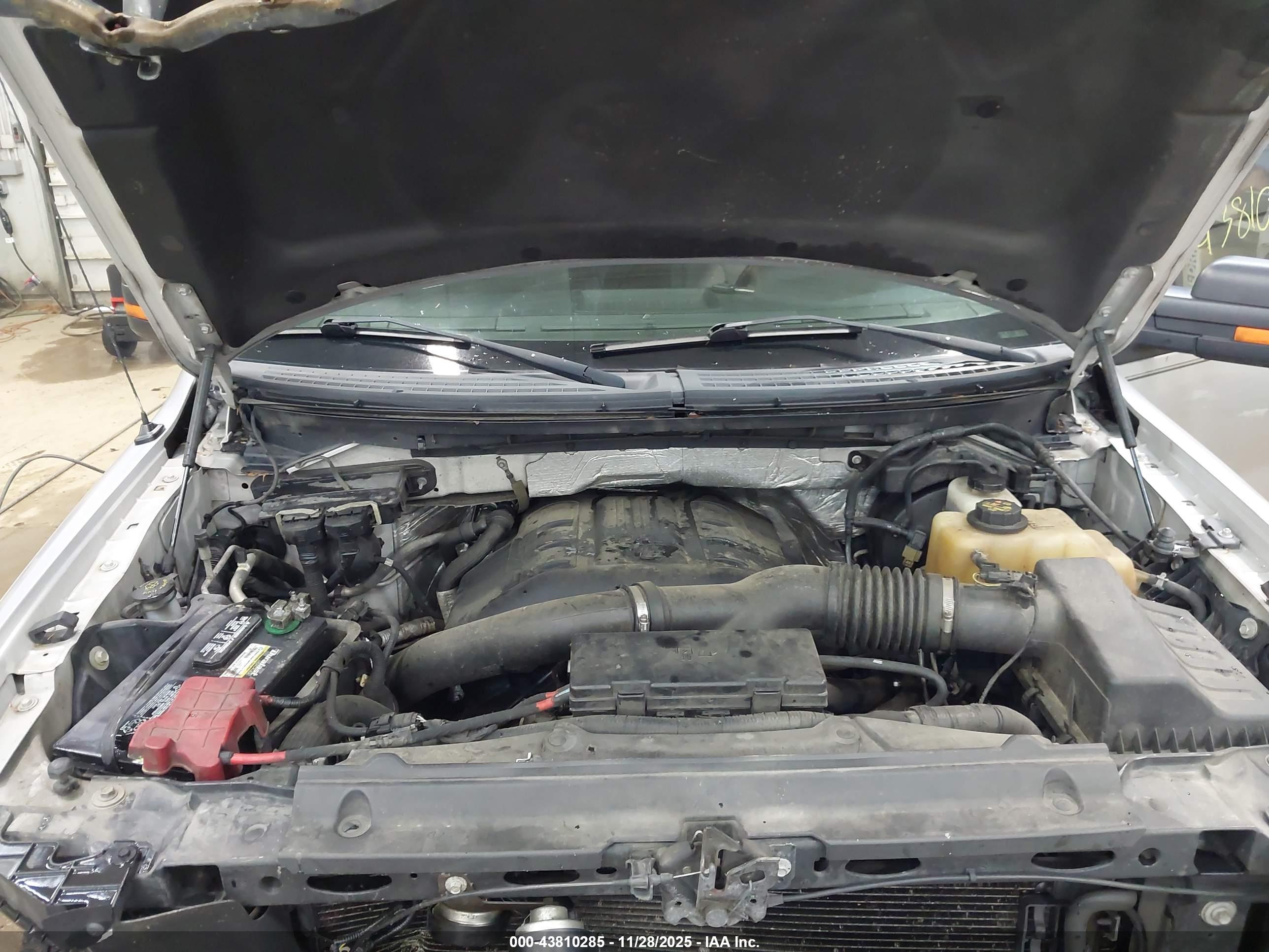 FORD F-150 image 10