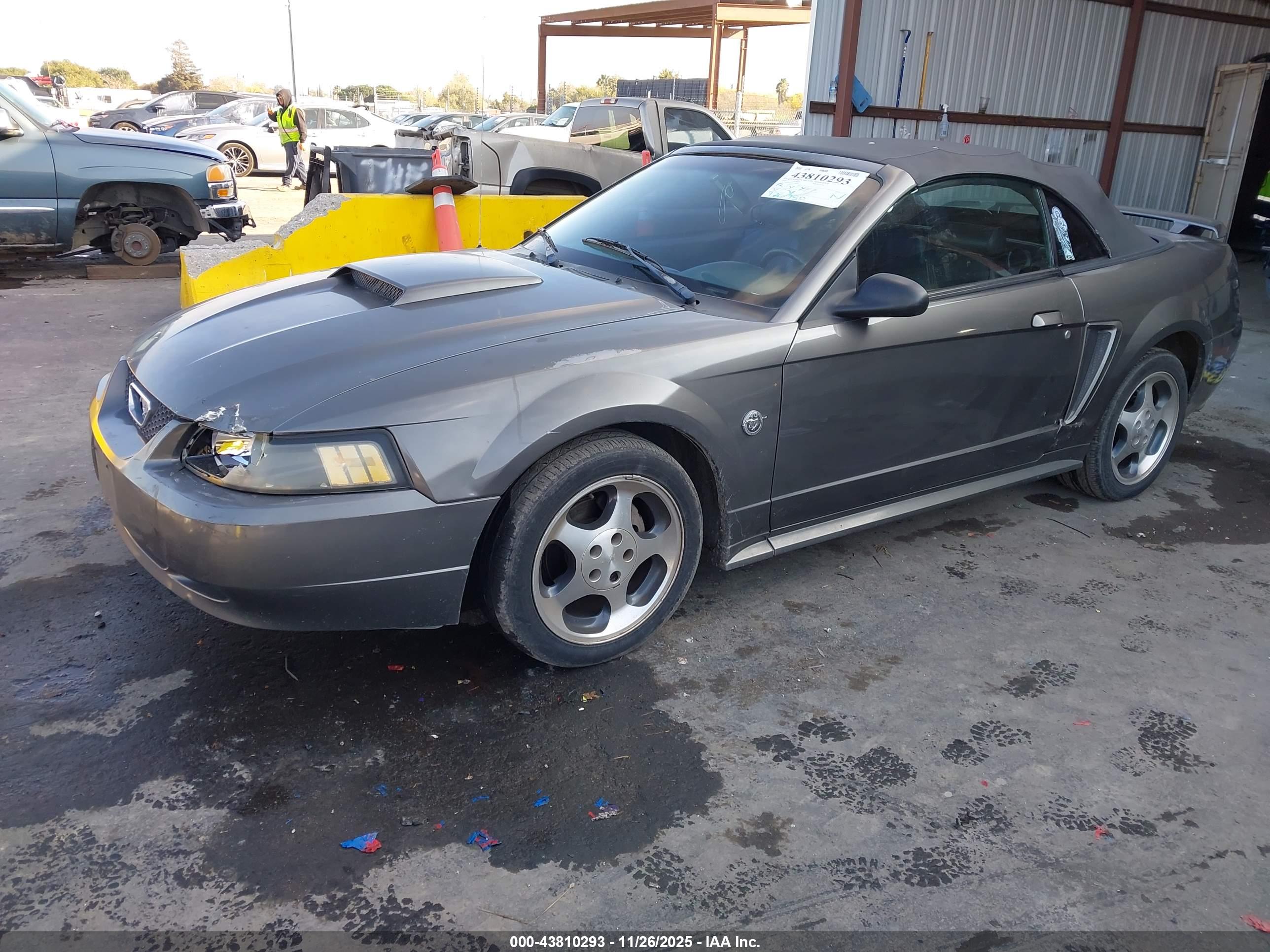 FORD MUSTANG image 2