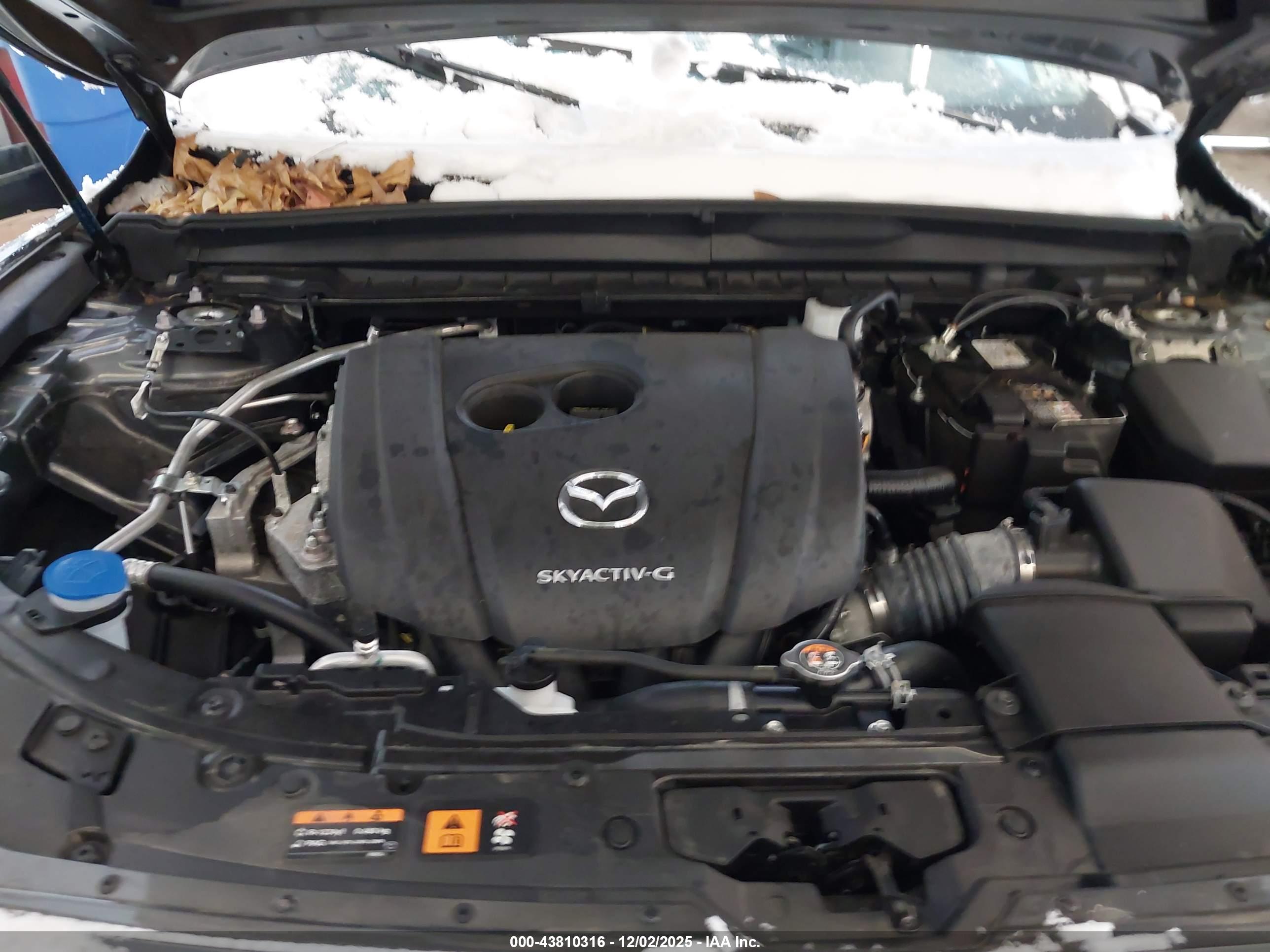 MAZDA CX-50 image 10