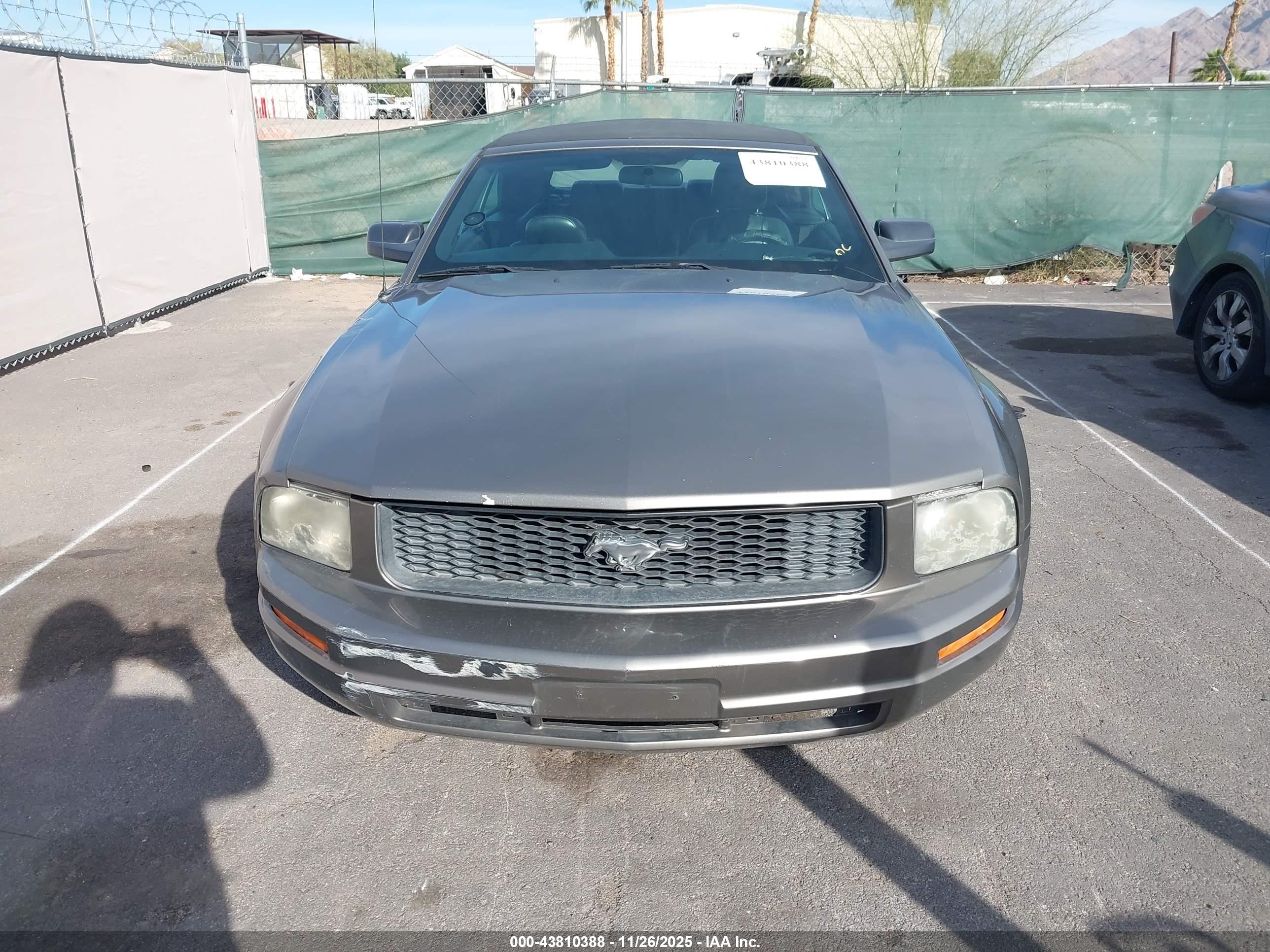 FORD MUSTANG image 6