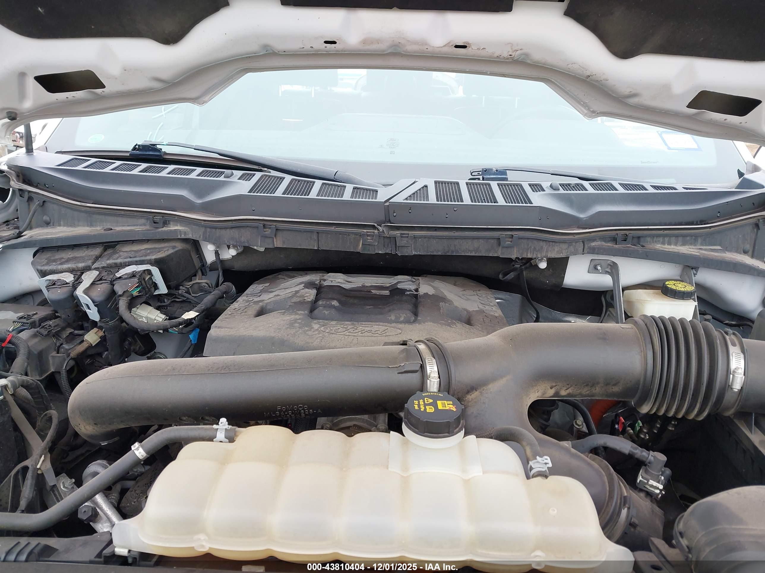 FORD F-150 image 10