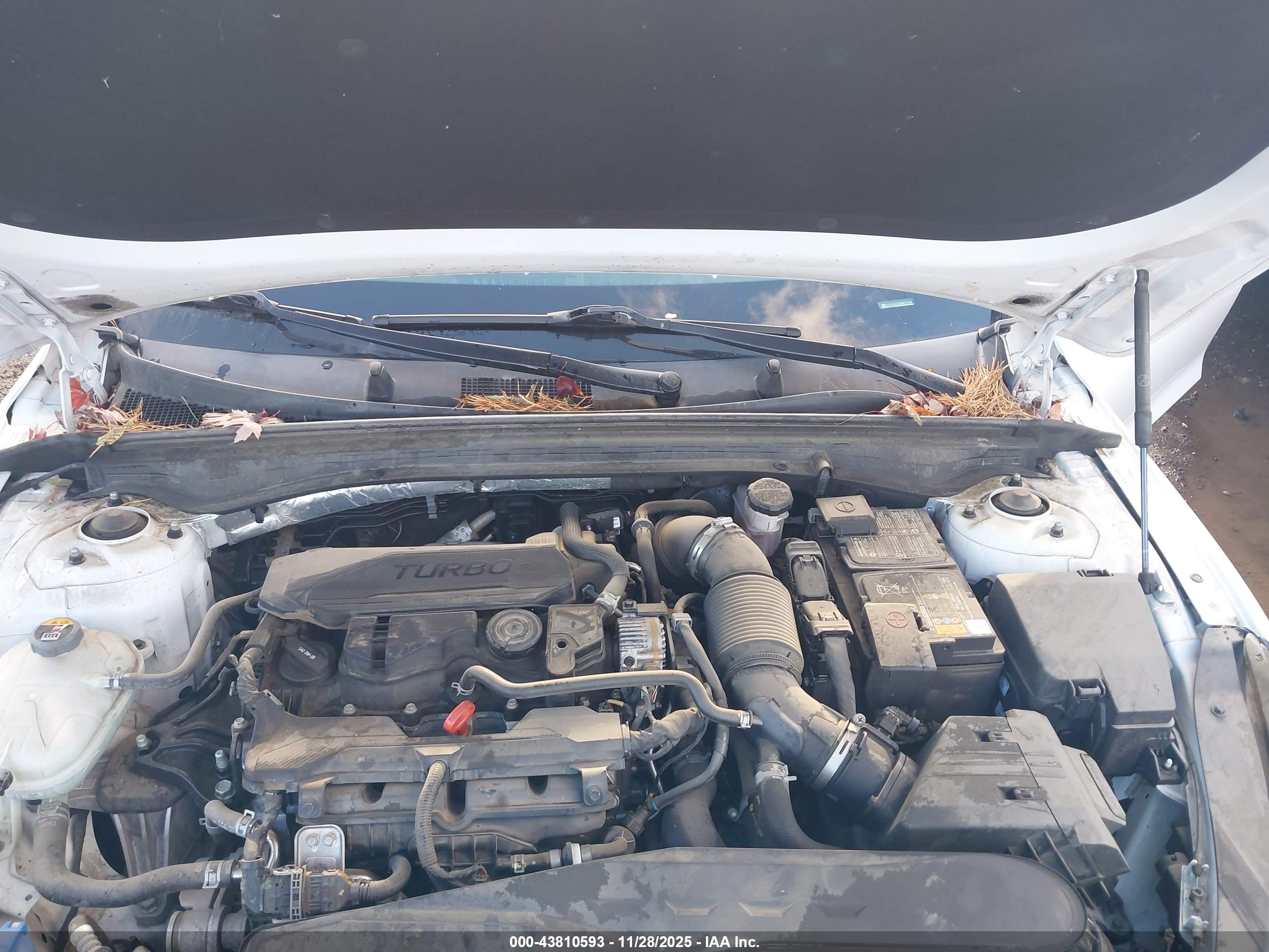 KIA K5 image 10