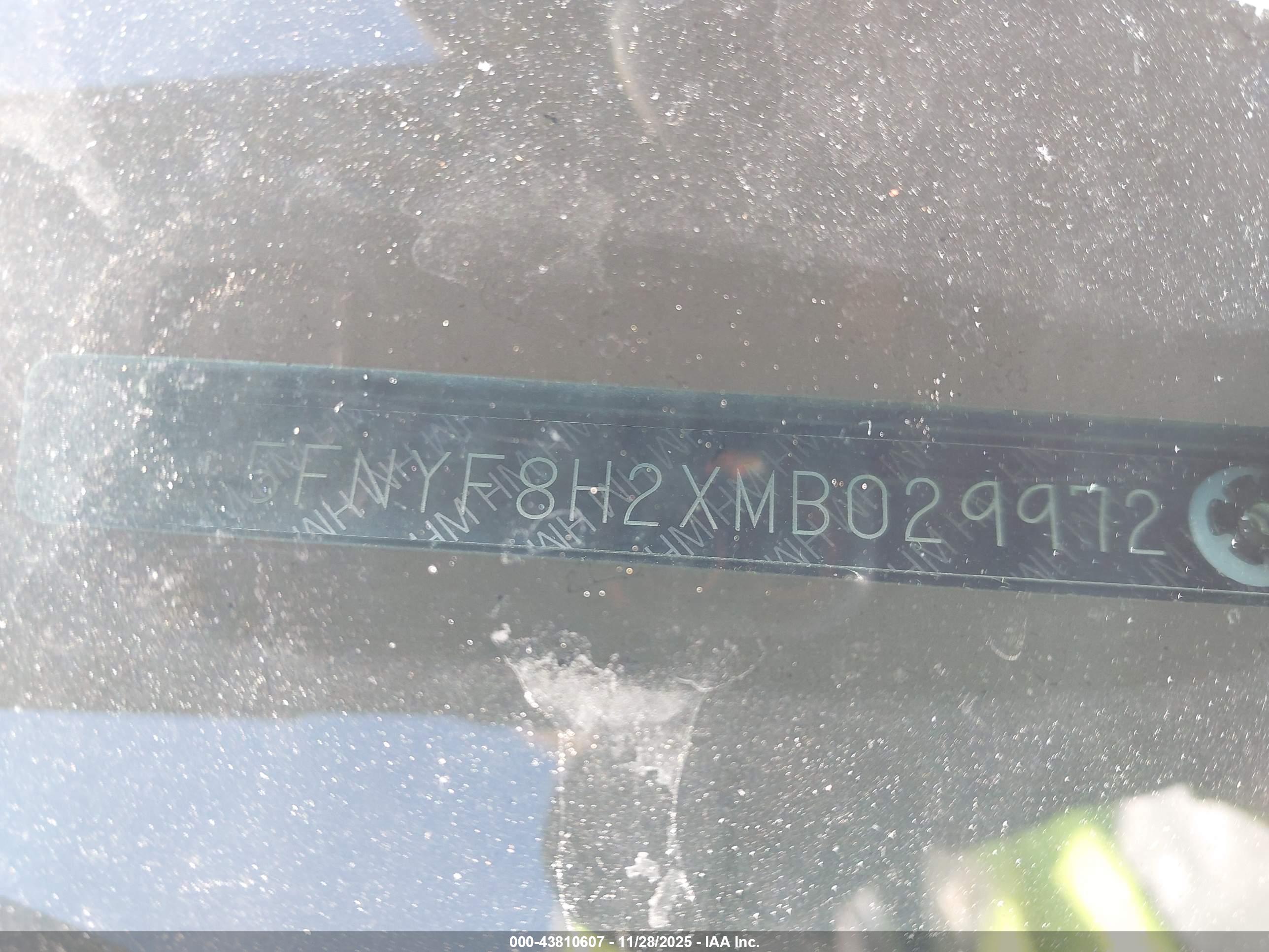 HONDA PASSPORT image 9