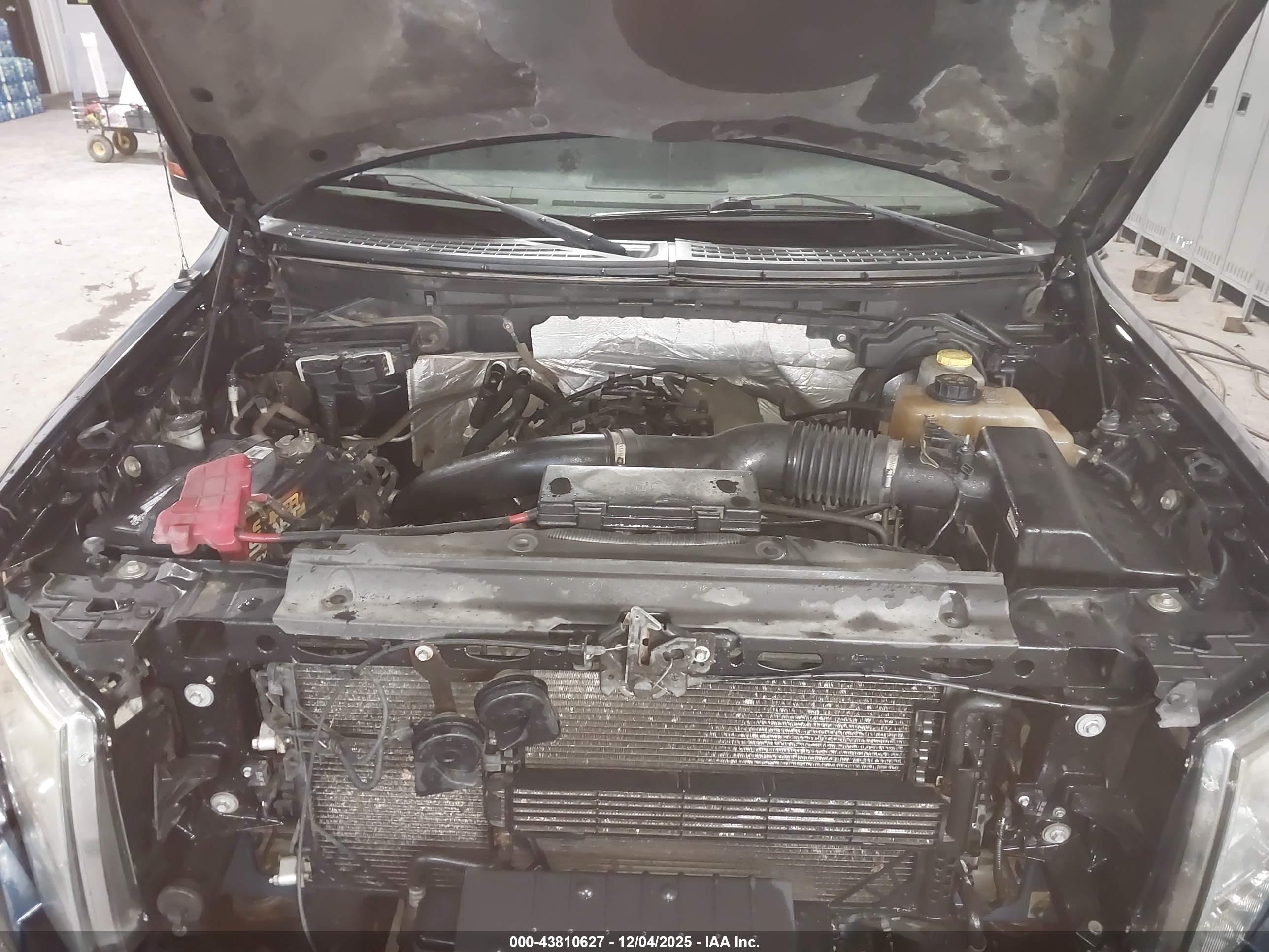 FORD F-150 image 10