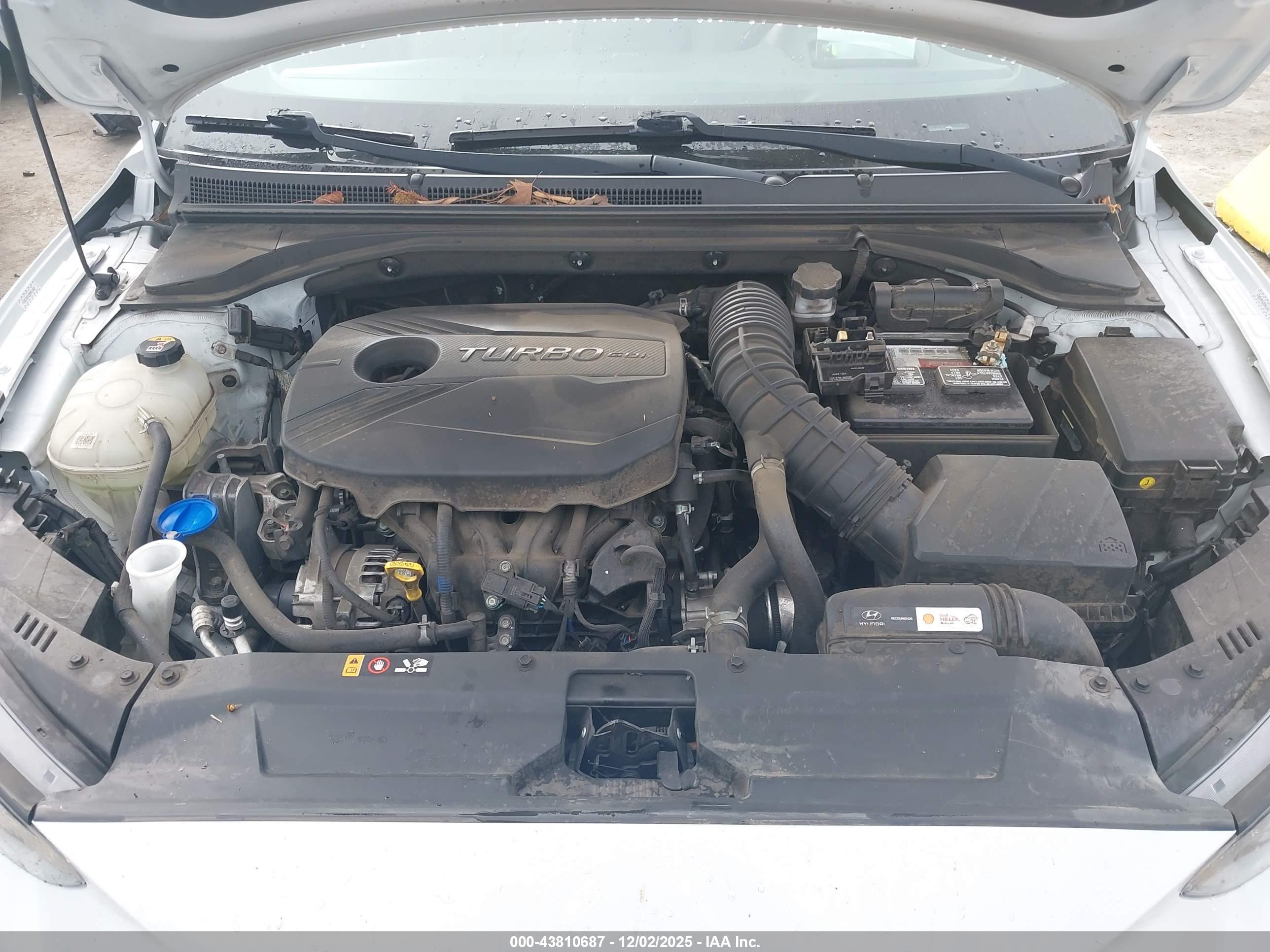 HYUNDAI VELOSTER image 10