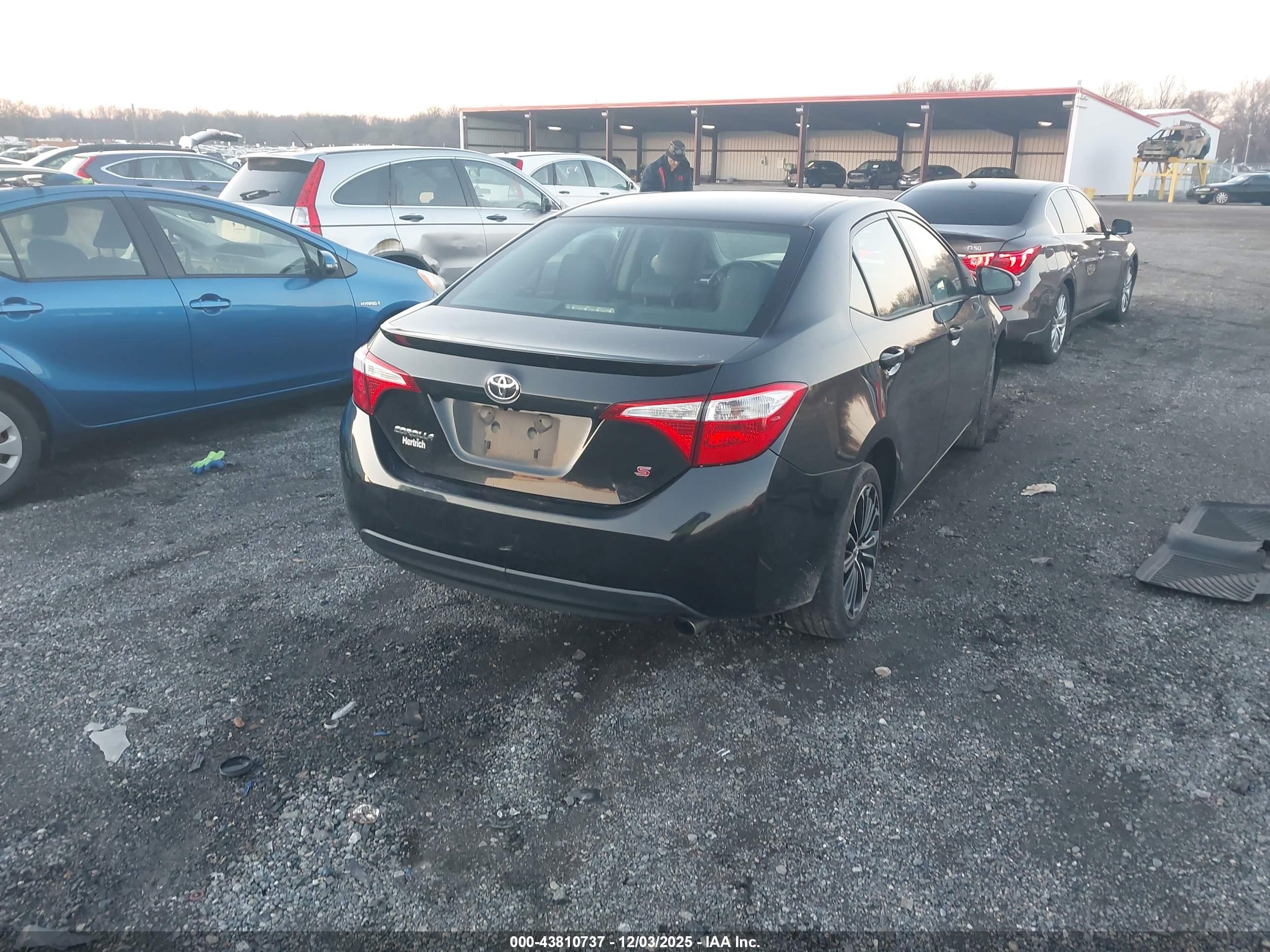 TOYOTA COROLLA image 4