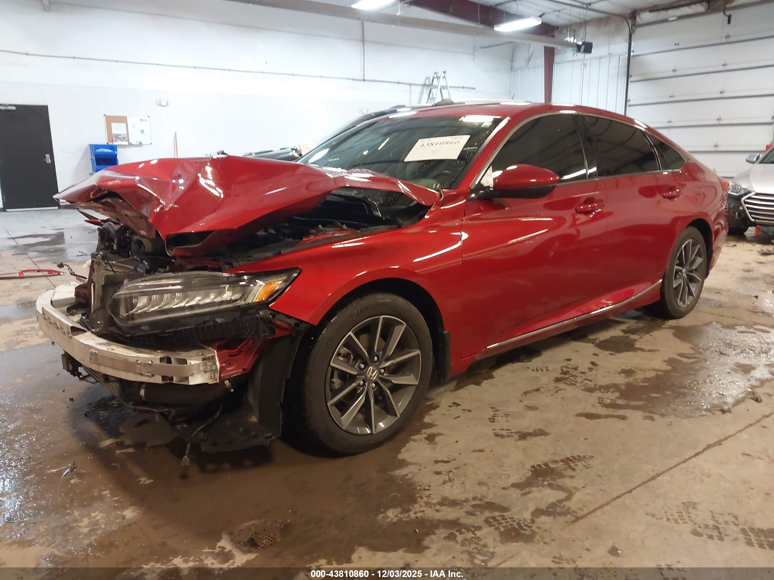 HONDA ACCORD image 2