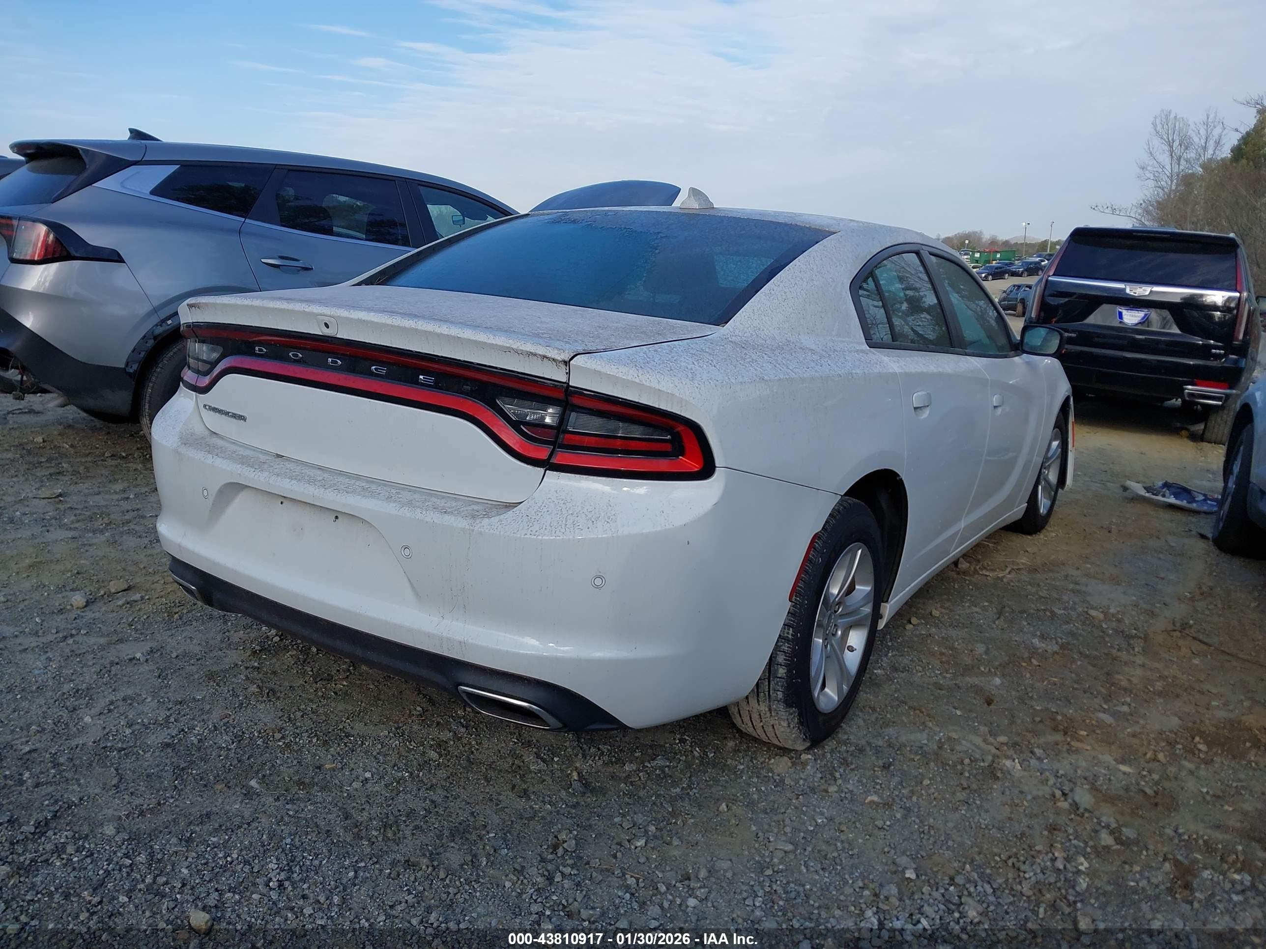 DODGE CHARGER image 4