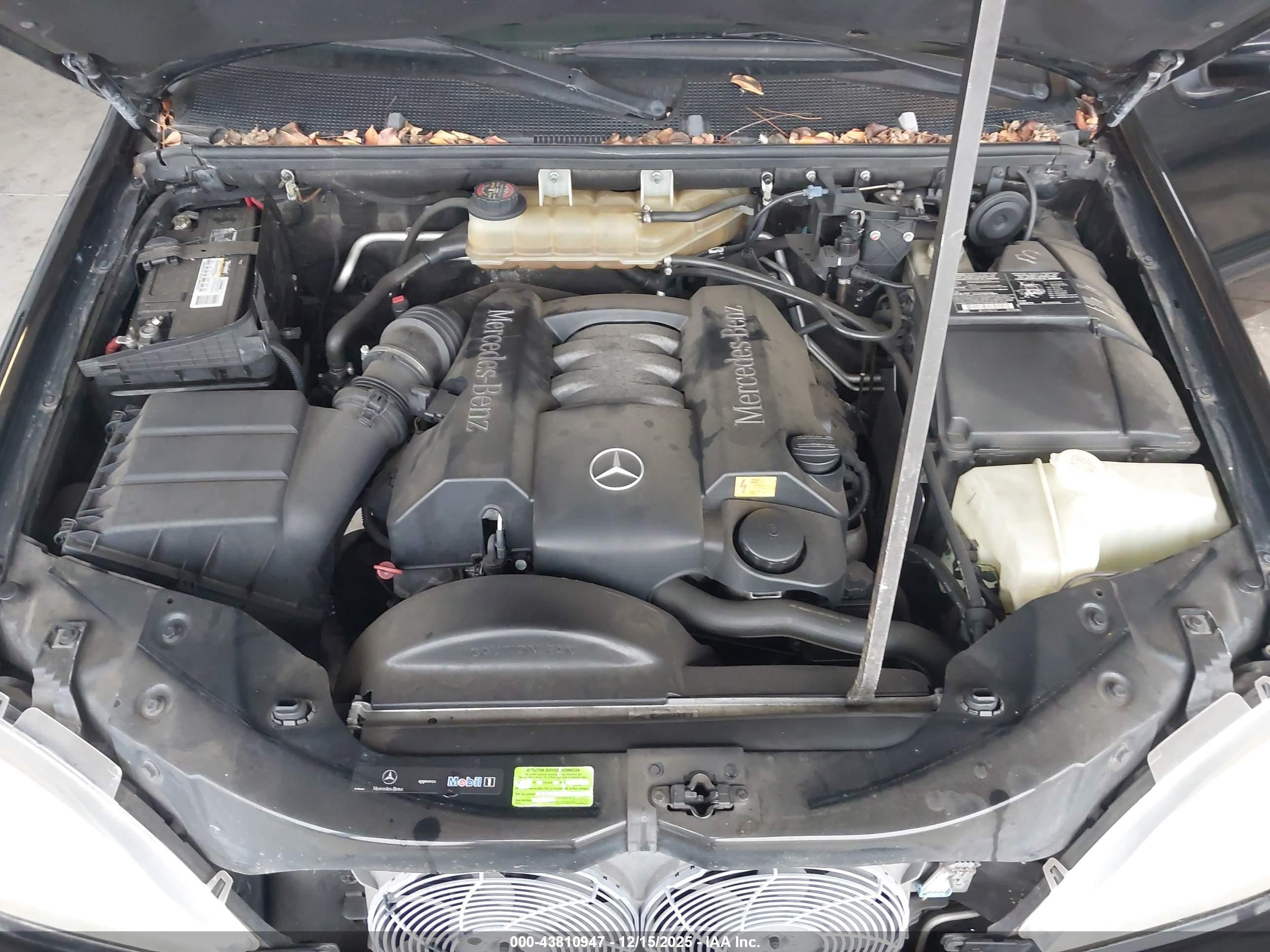 MERCEDES-BENZ ML image 10