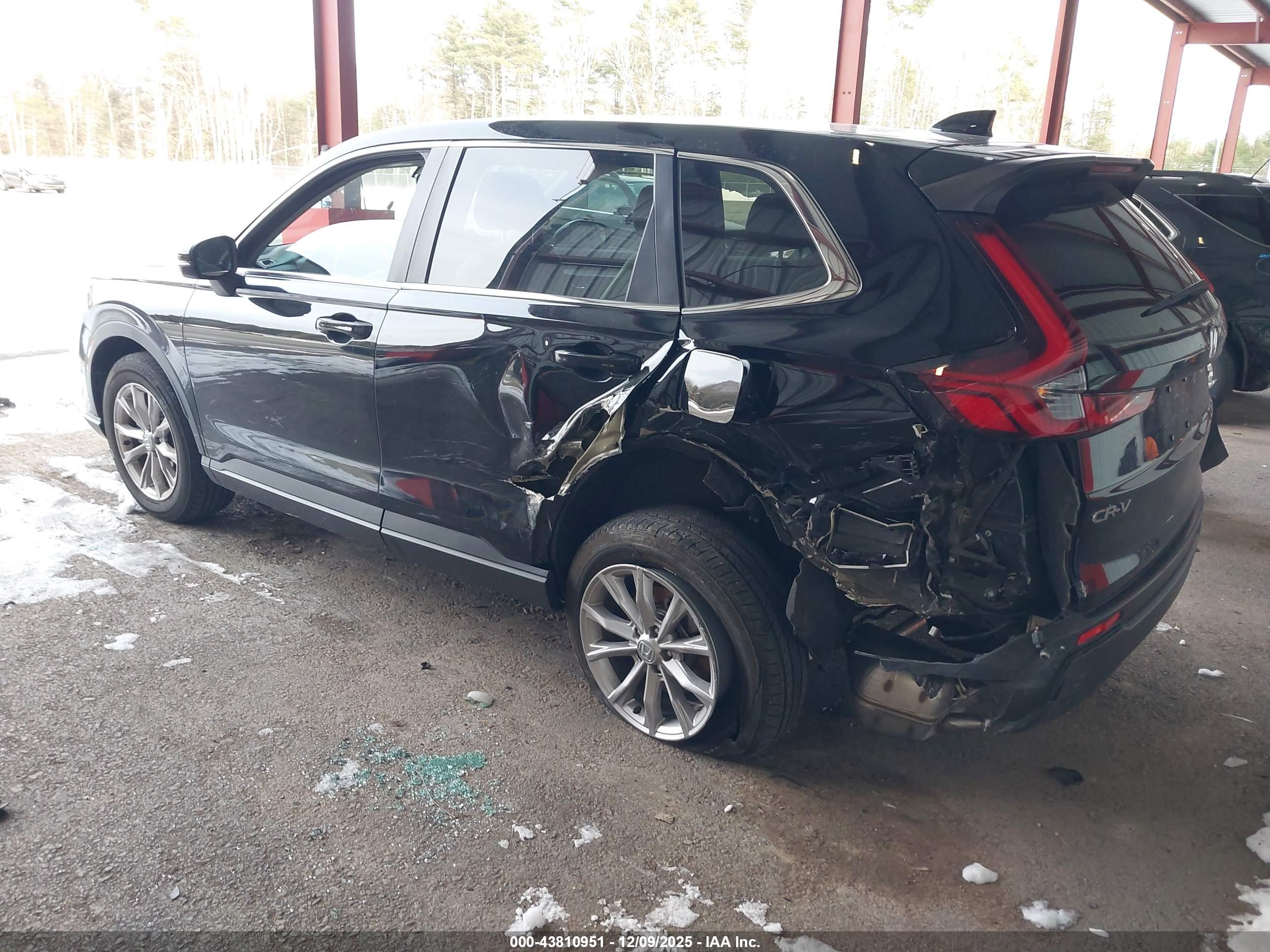 HONDA CR-V image 3