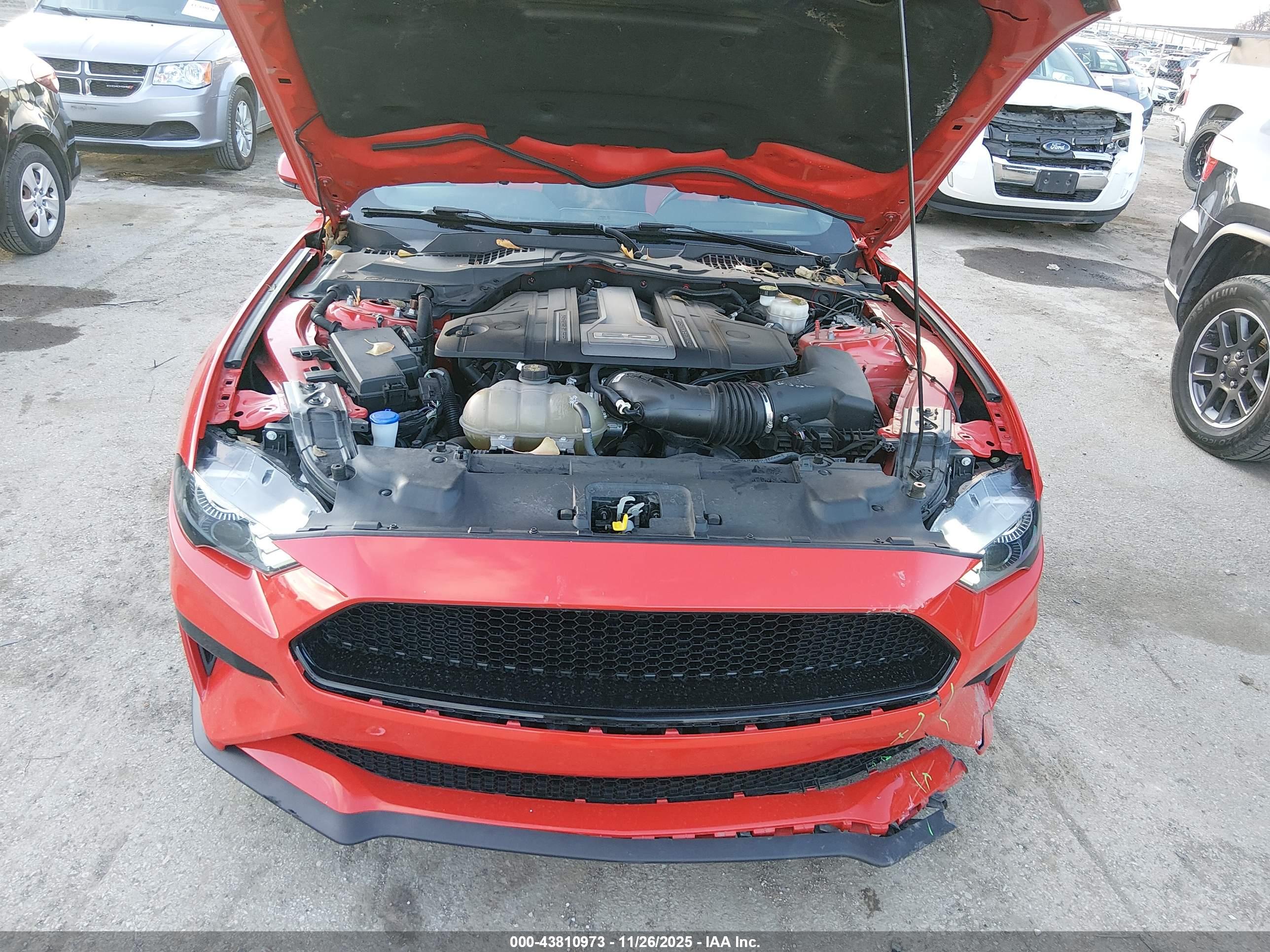 FORD MUSTANG image 10