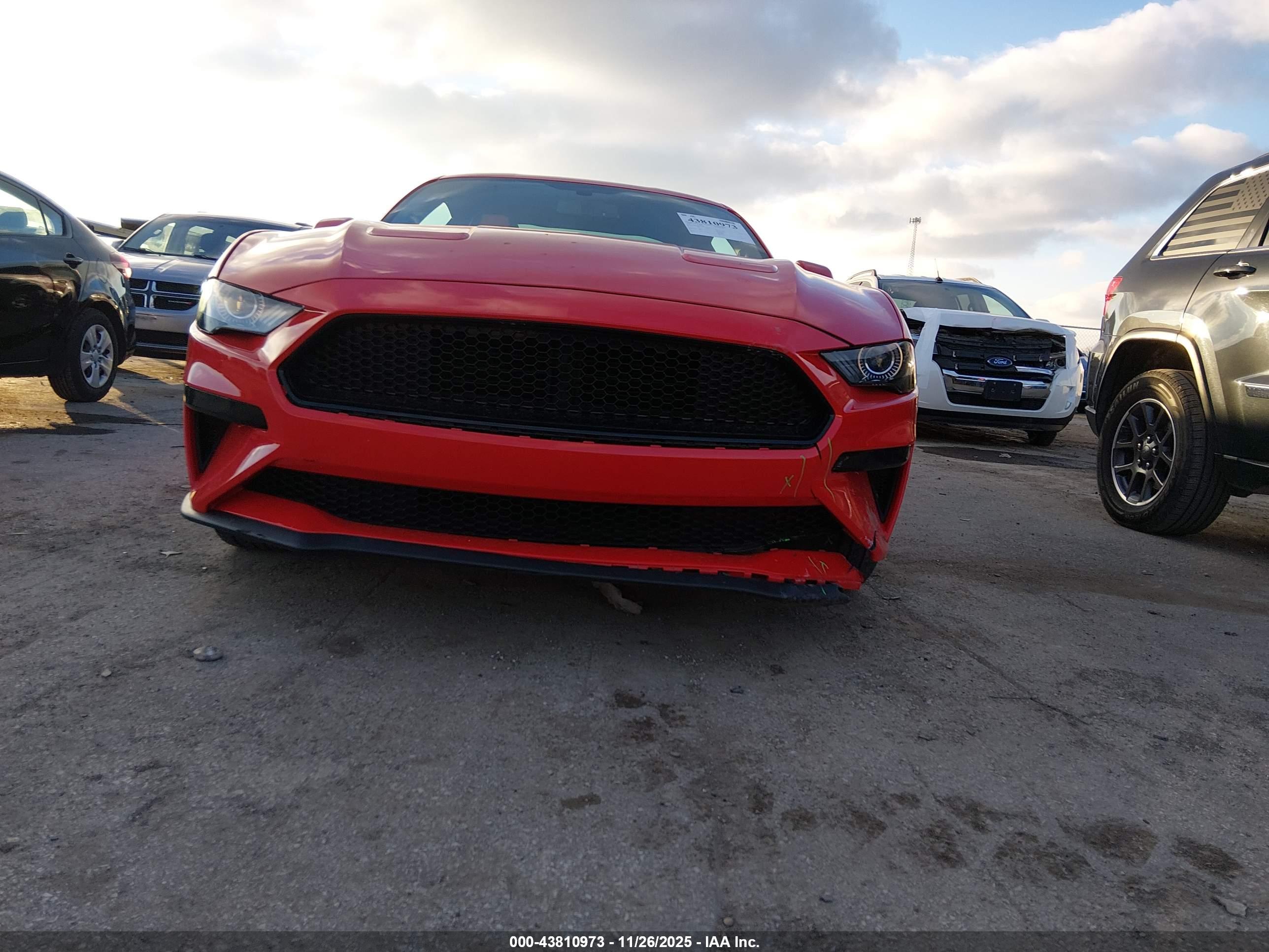 FORD MUSTANG image 6