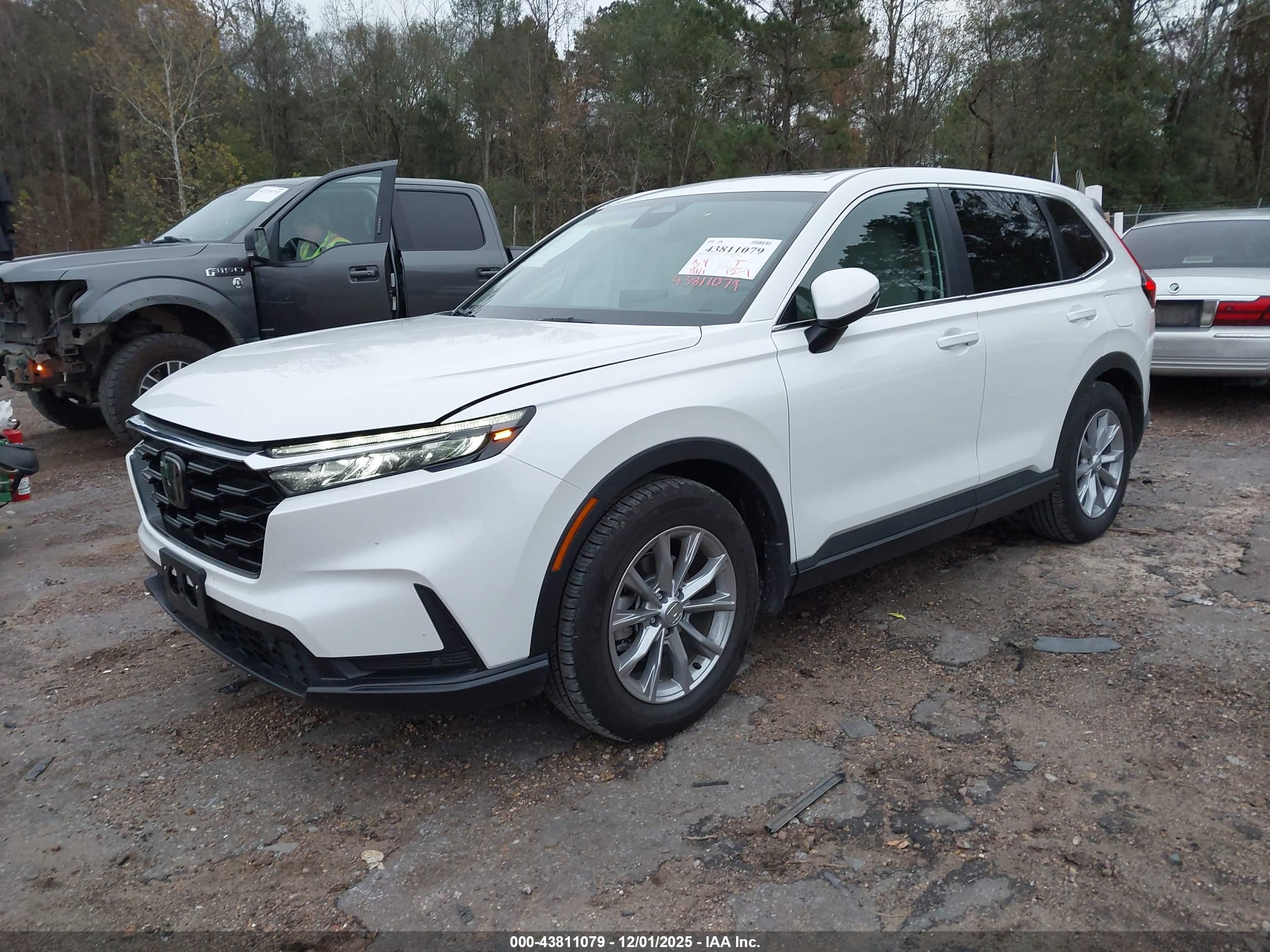 HONDA CR-V image 2