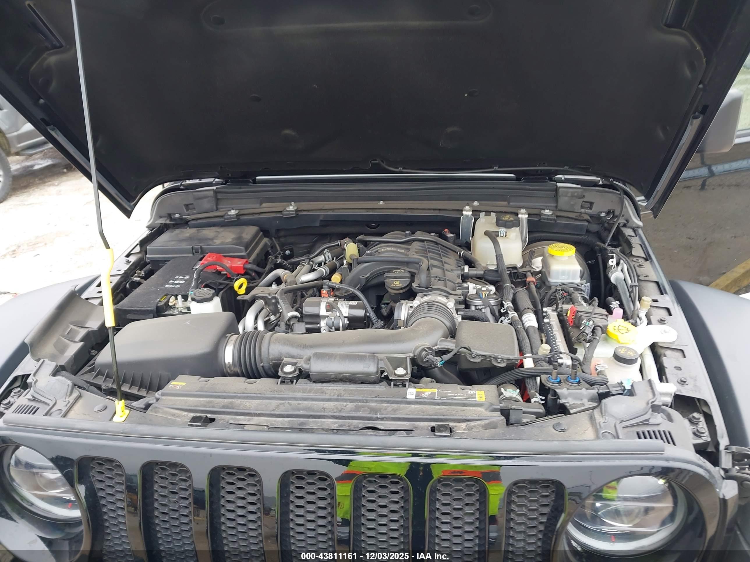 JEEP WRANGLER image 10