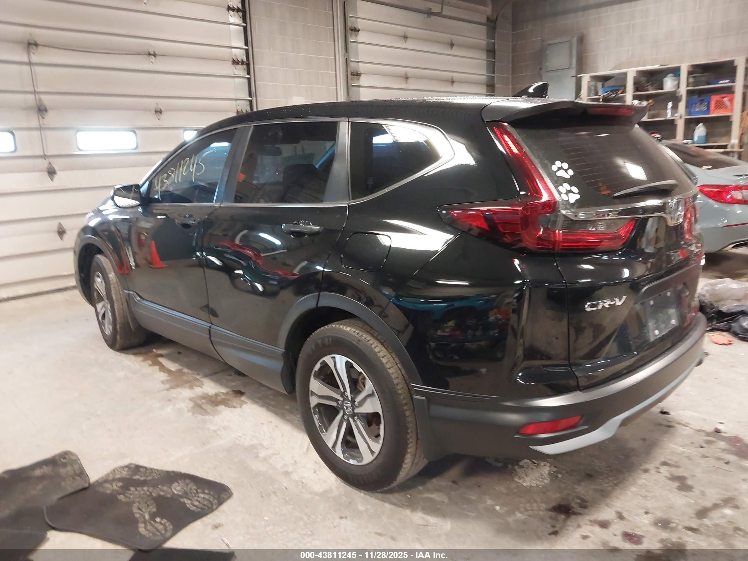 HONDA CR-V image 3