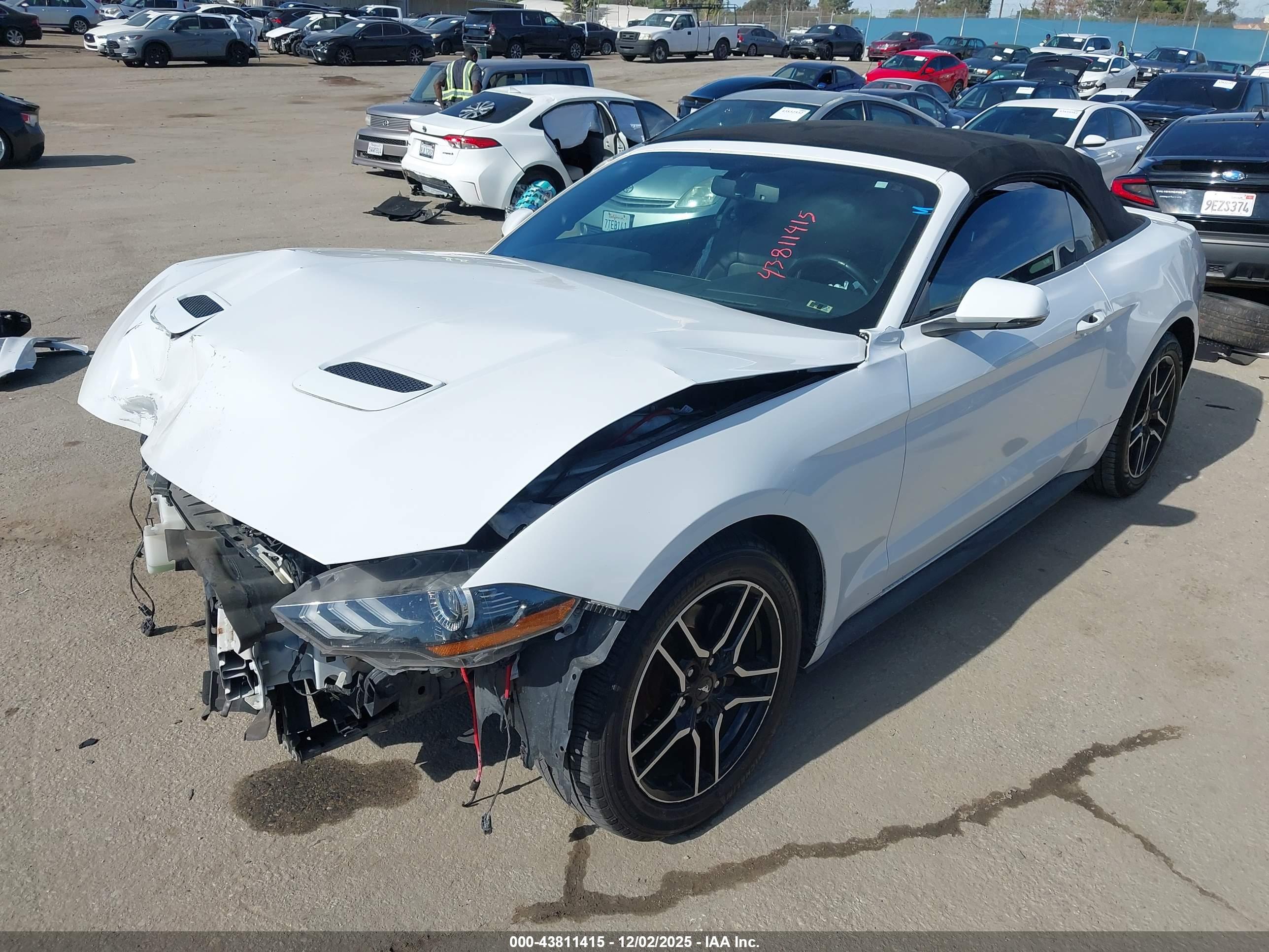 FORD MUSTANG image 2