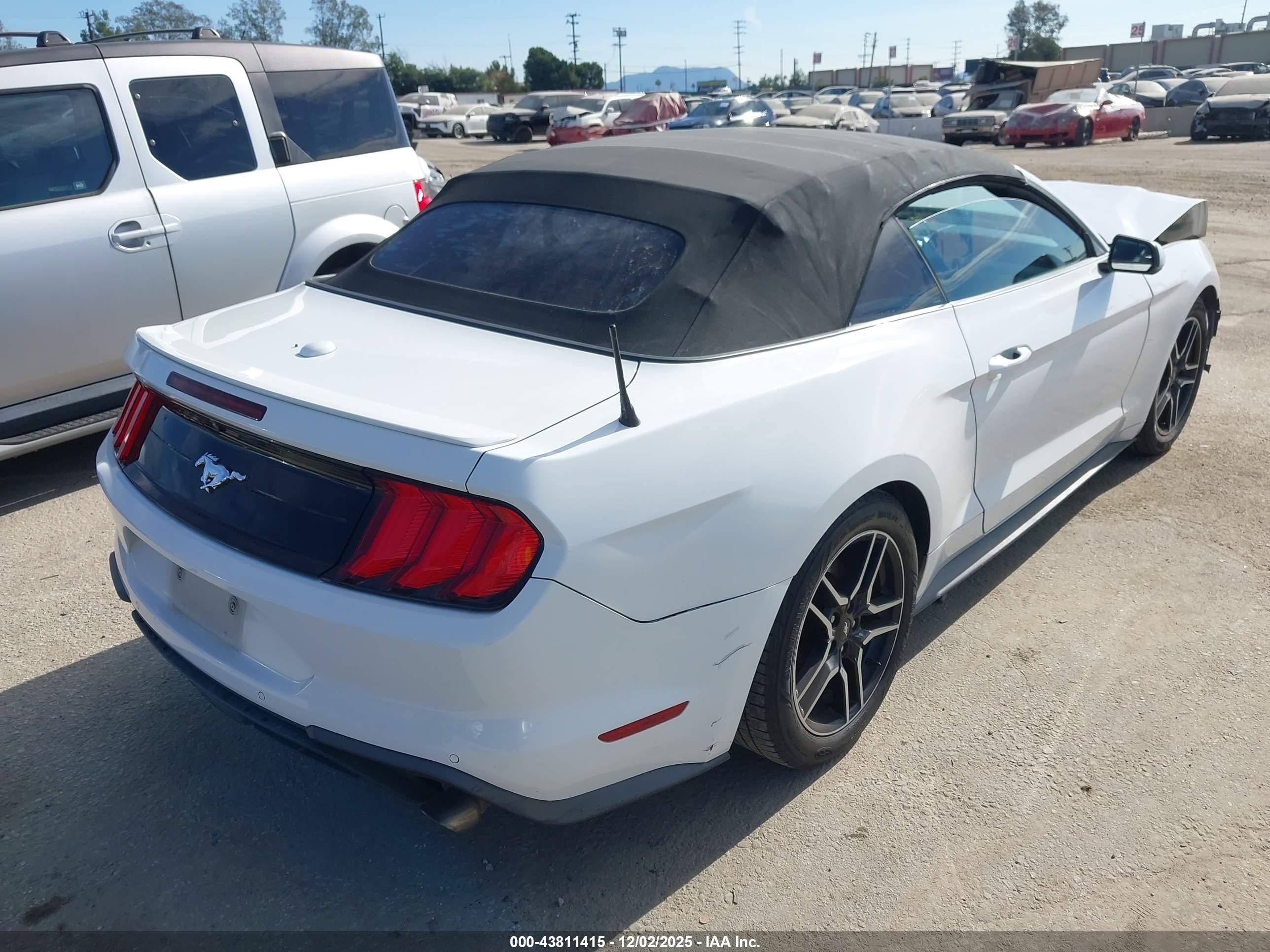 FORD MUSTANG image 4