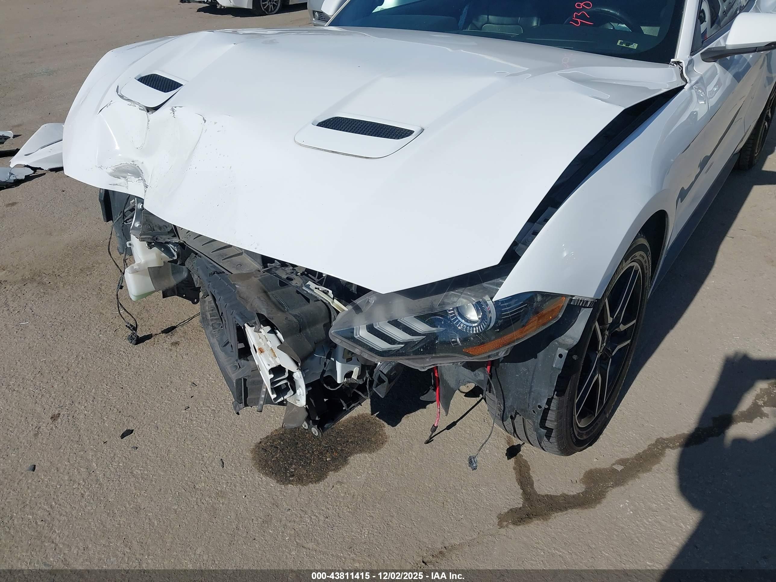FORD MUSTANG image 6