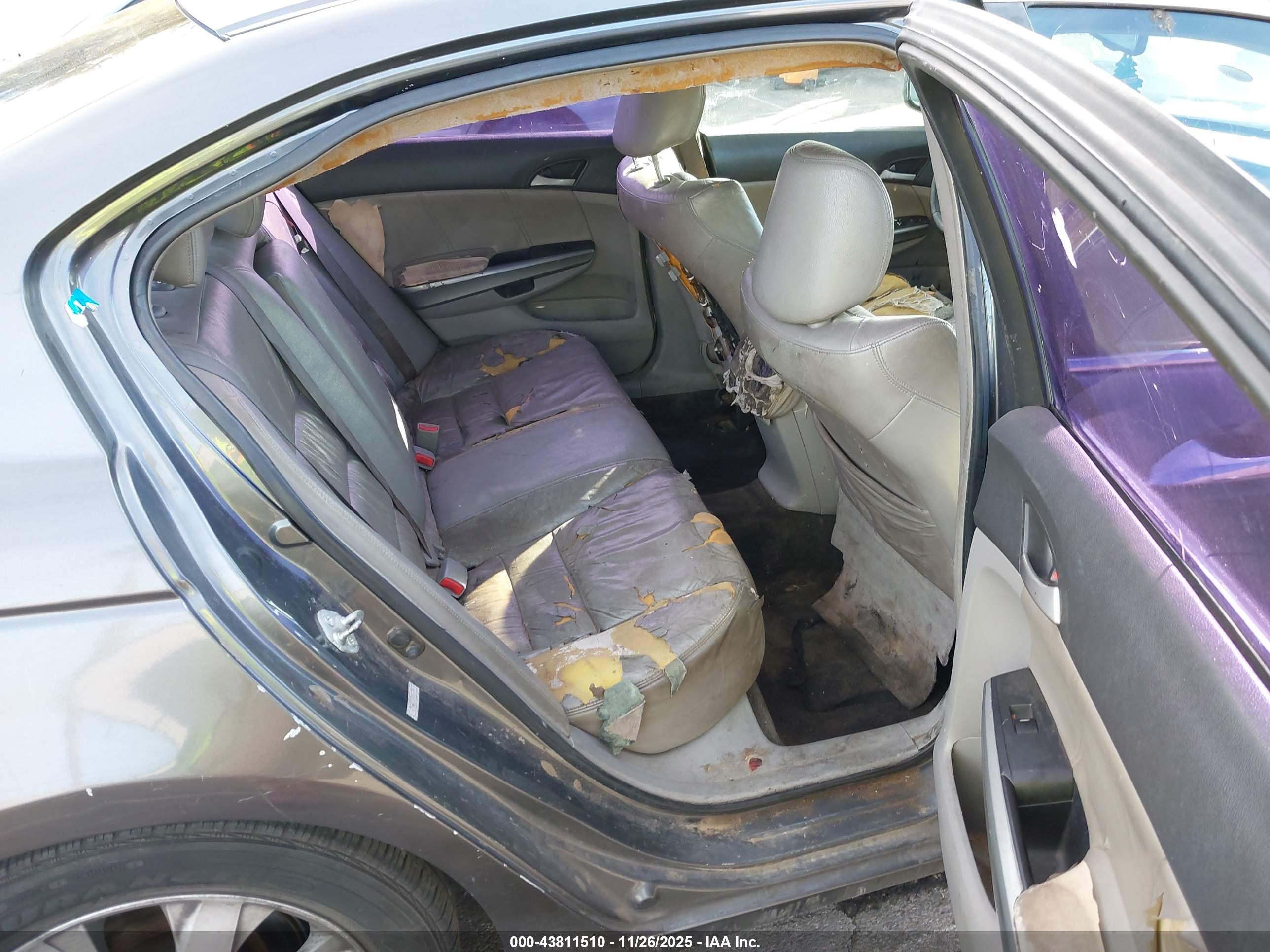 HONDA ACCORD image 8