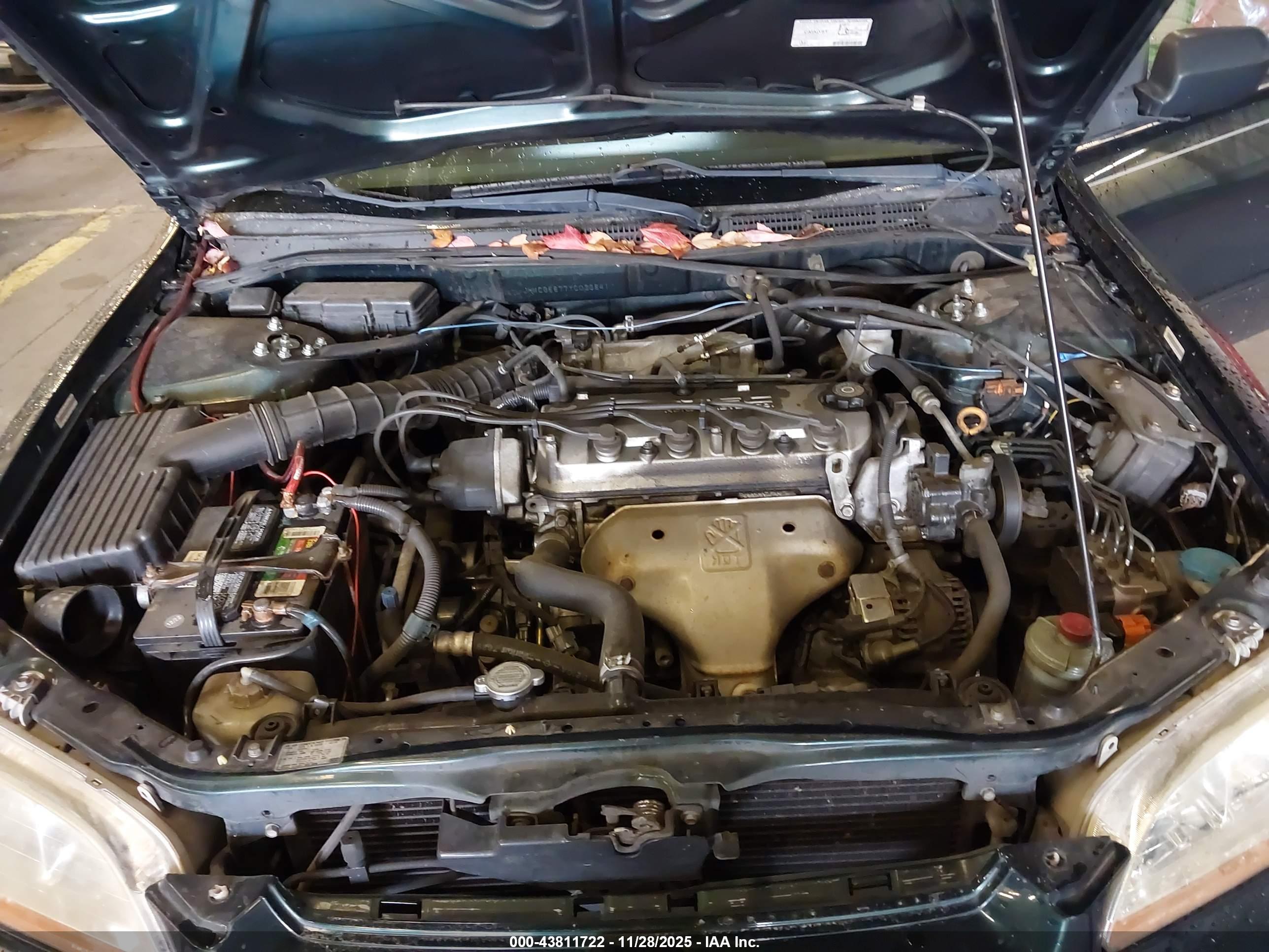 HONDA ACCORD image 10