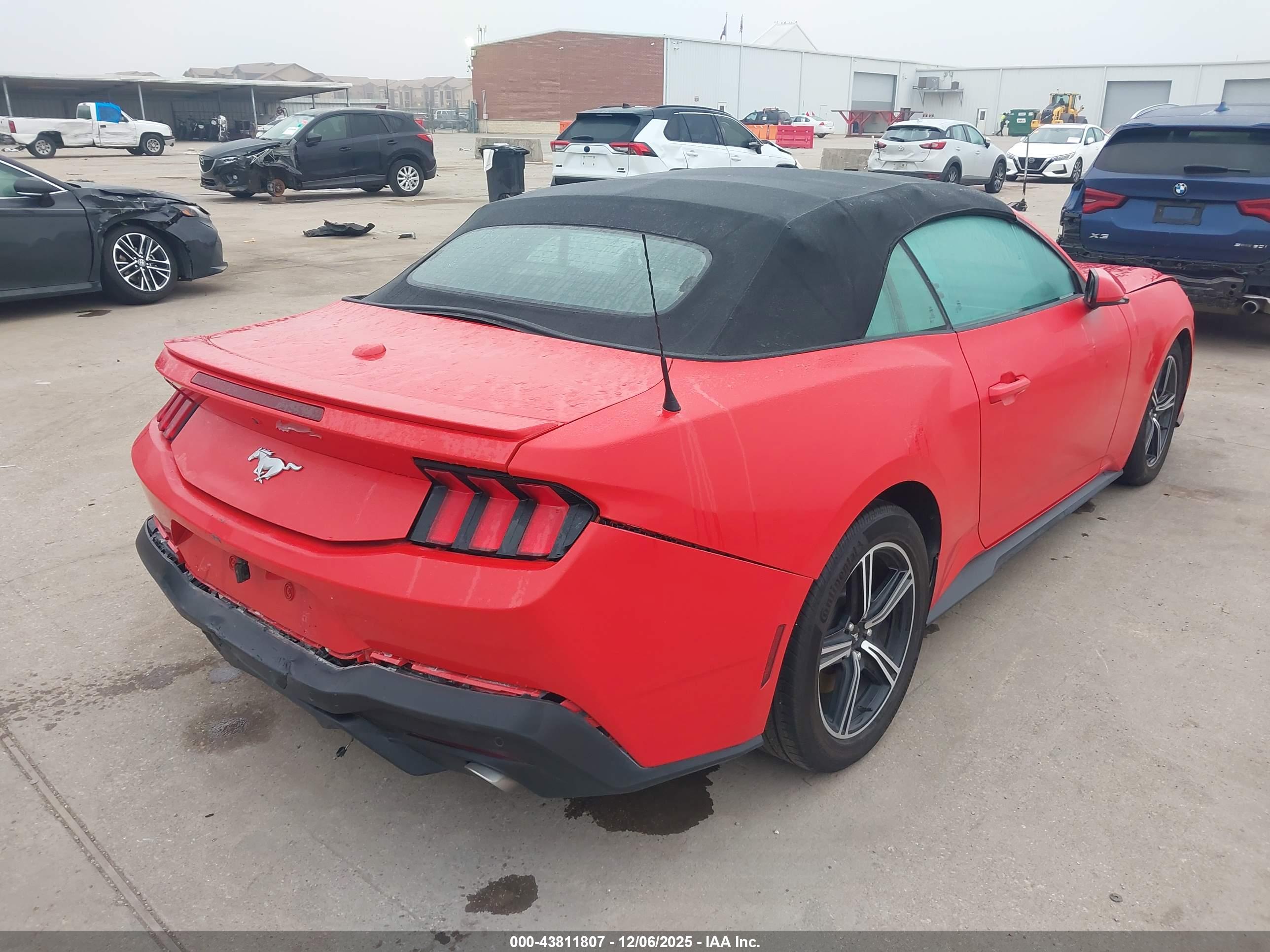 FORD MUSTANG image 4