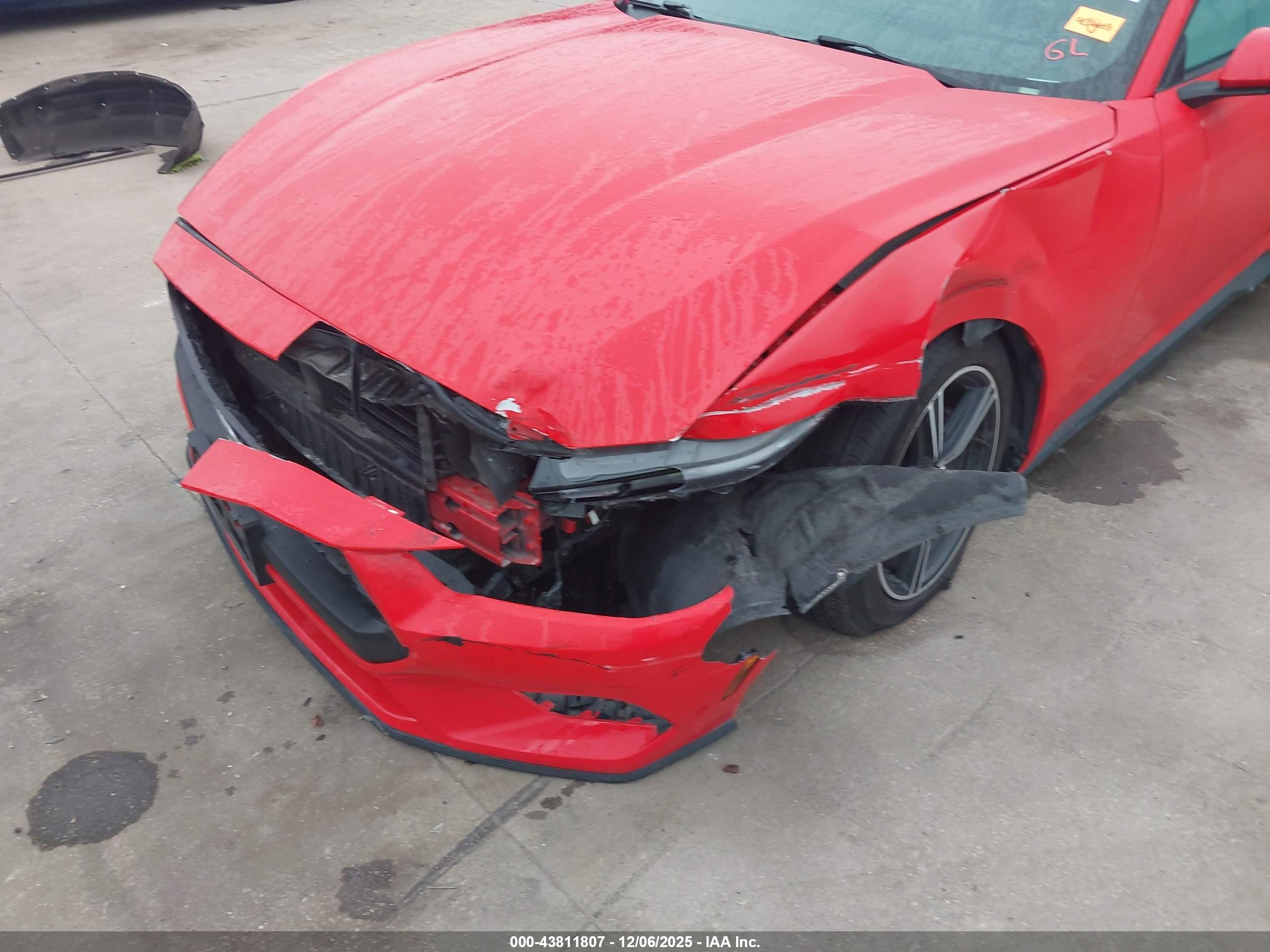 FORD MUSTANG image 6