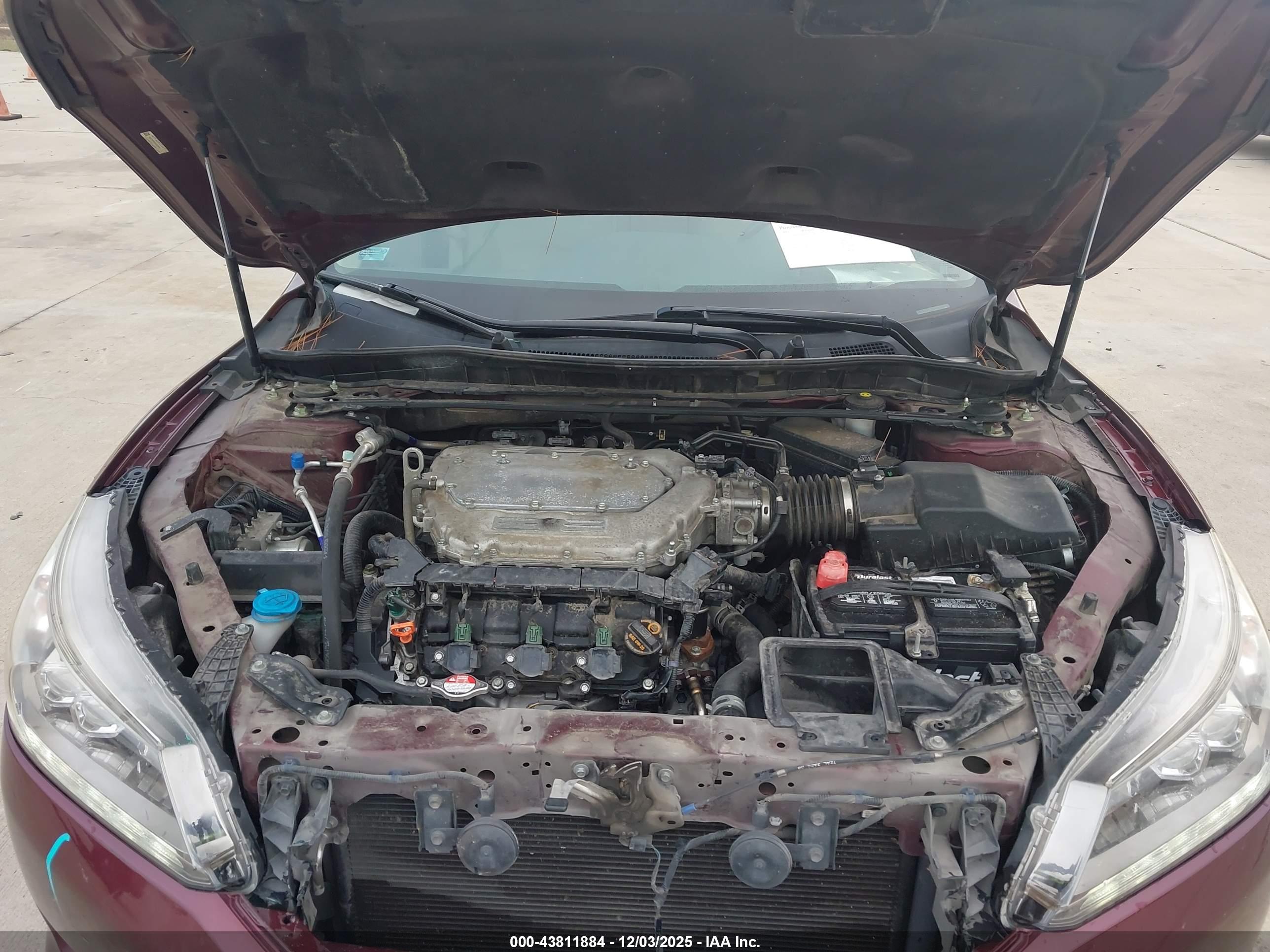 HONDA ACCORD image 10
