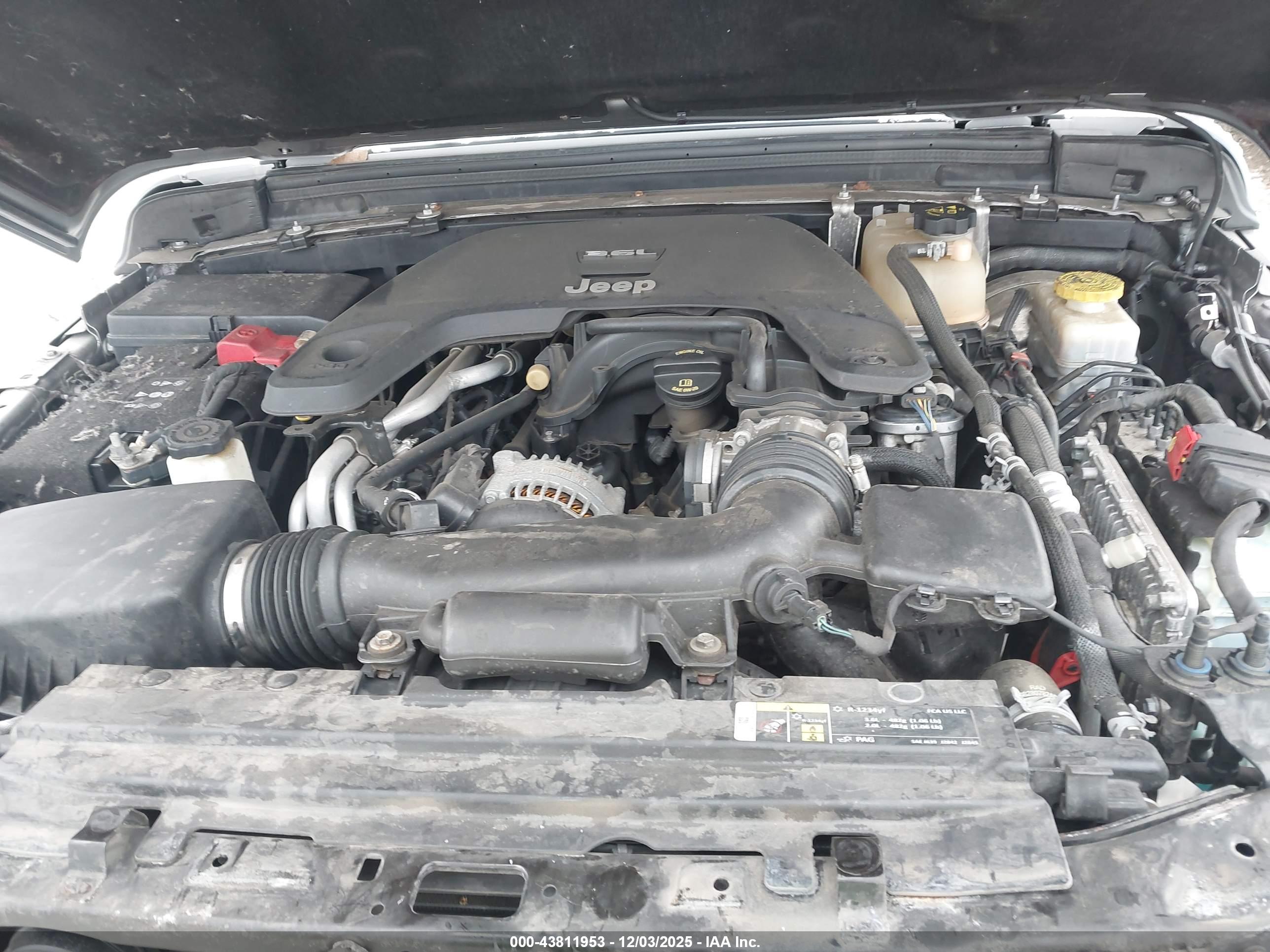 JEEP WRANGLER image 10