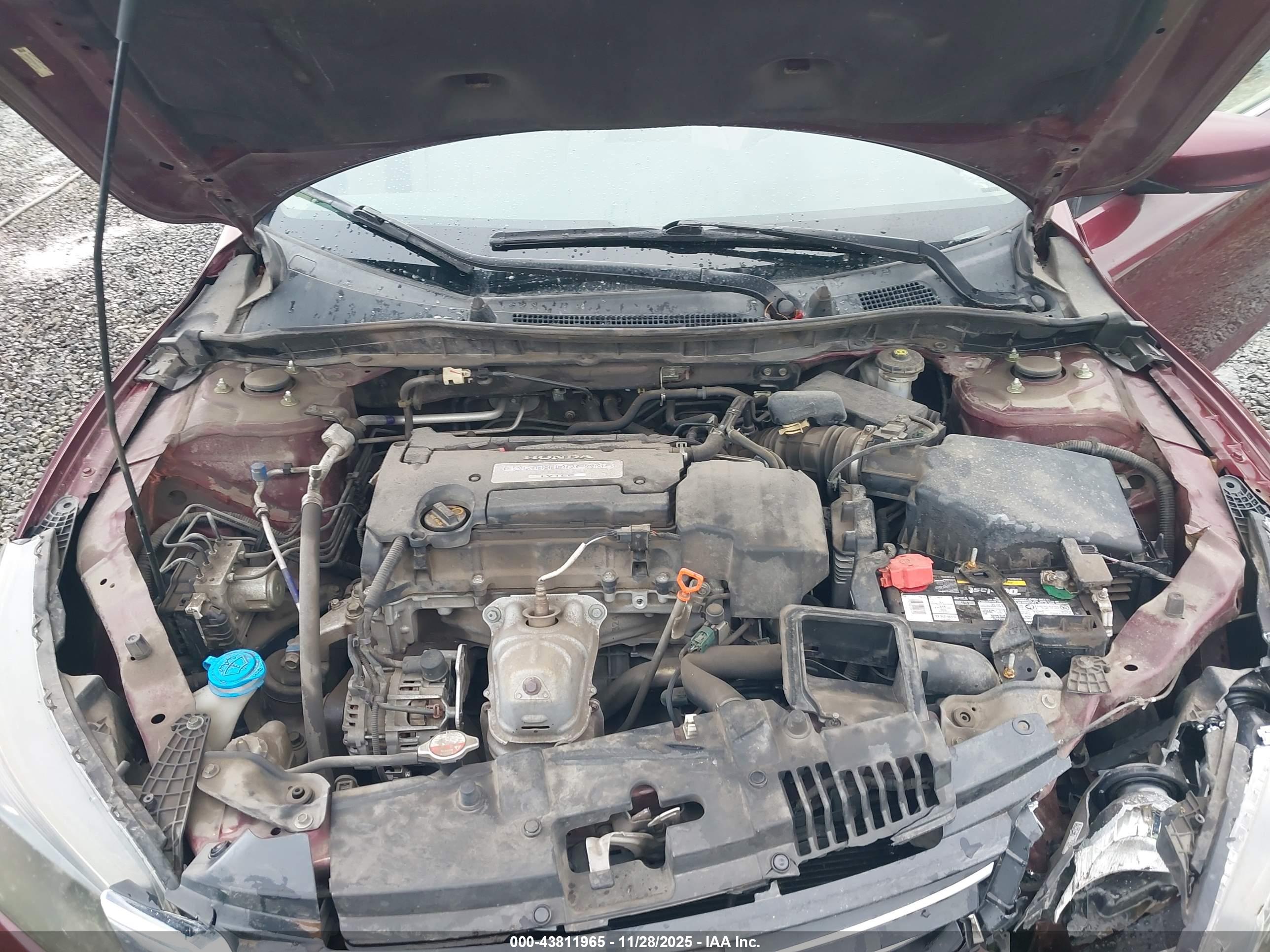 HONDA ACCORD image 10