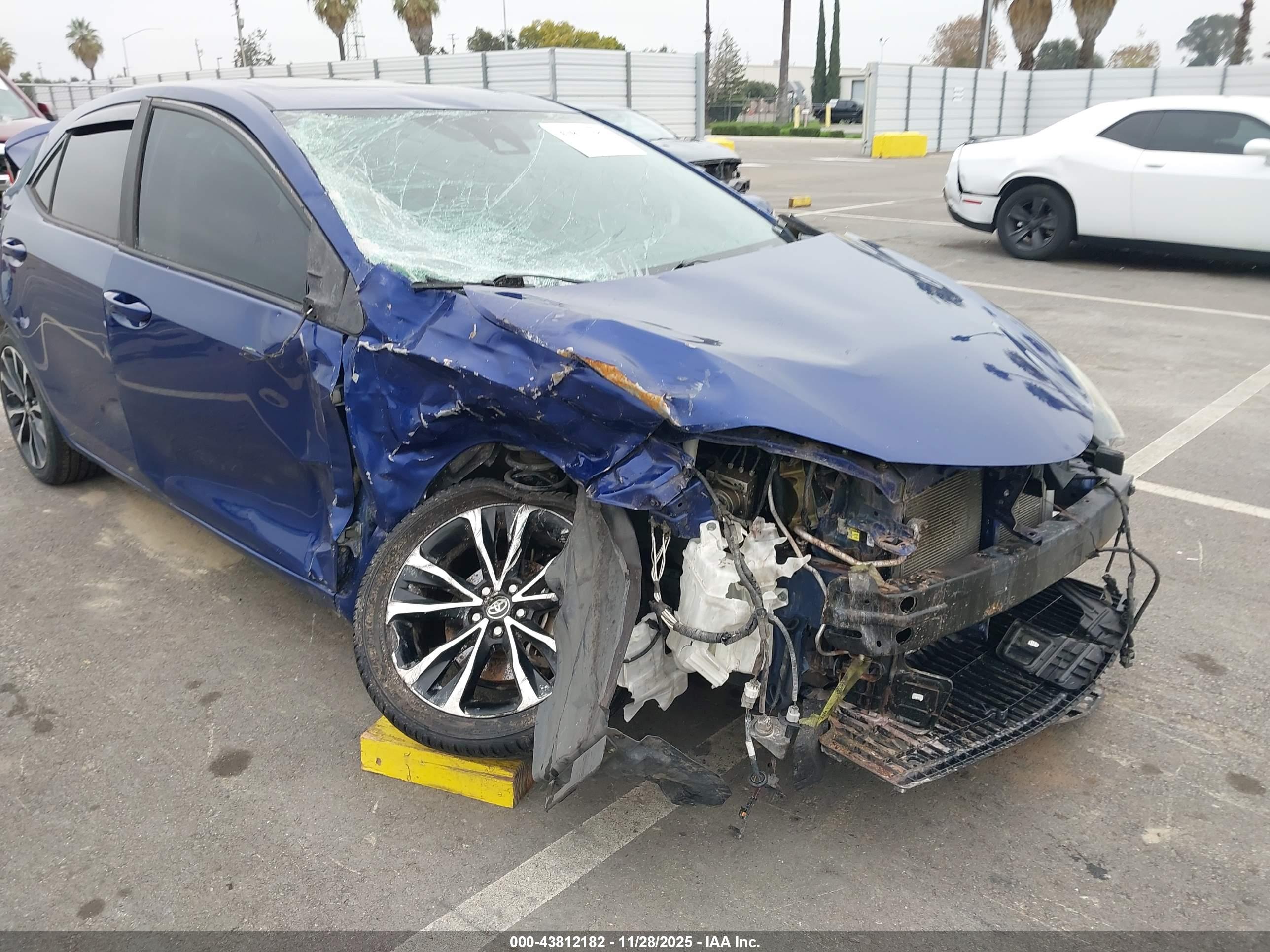 TOYOTA COROLLA image 6