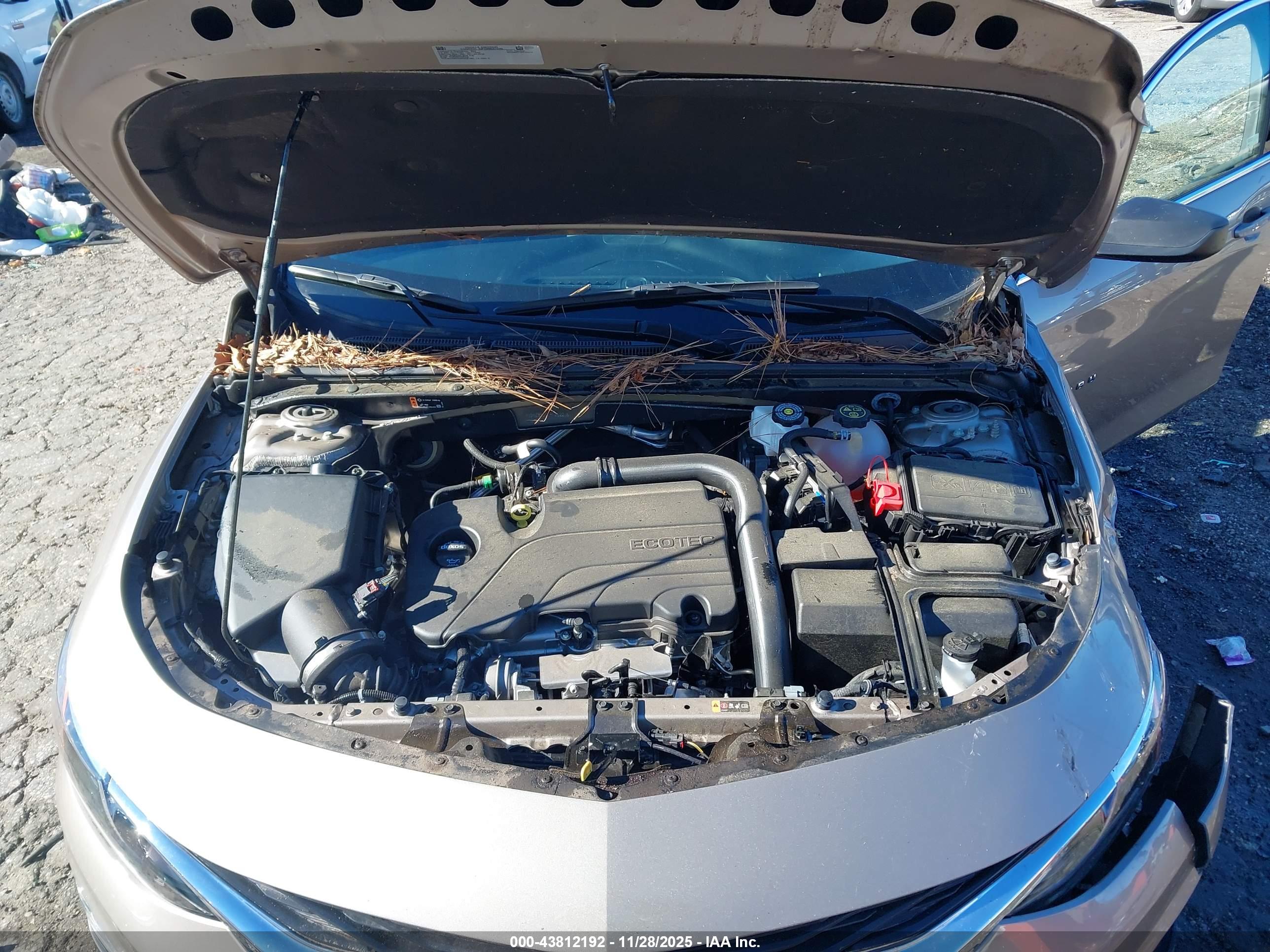 CHEVROLET MALIBU image 10