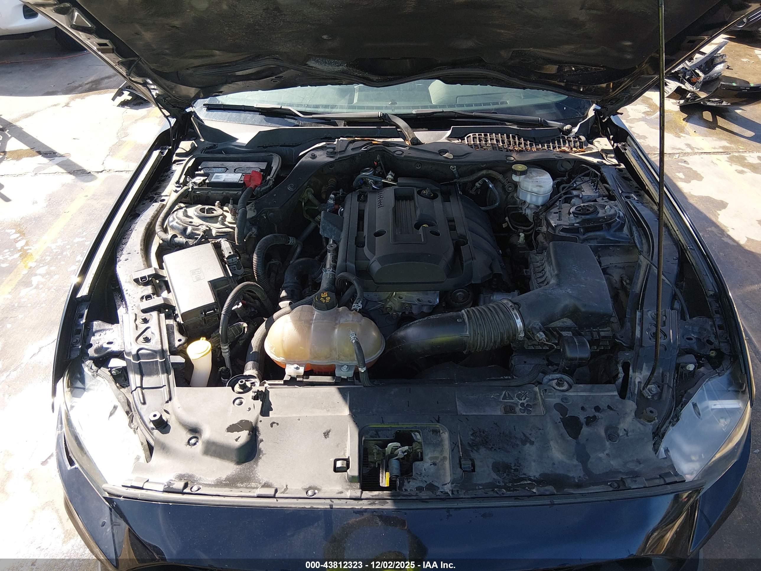 FORD MUSTANG image 10
