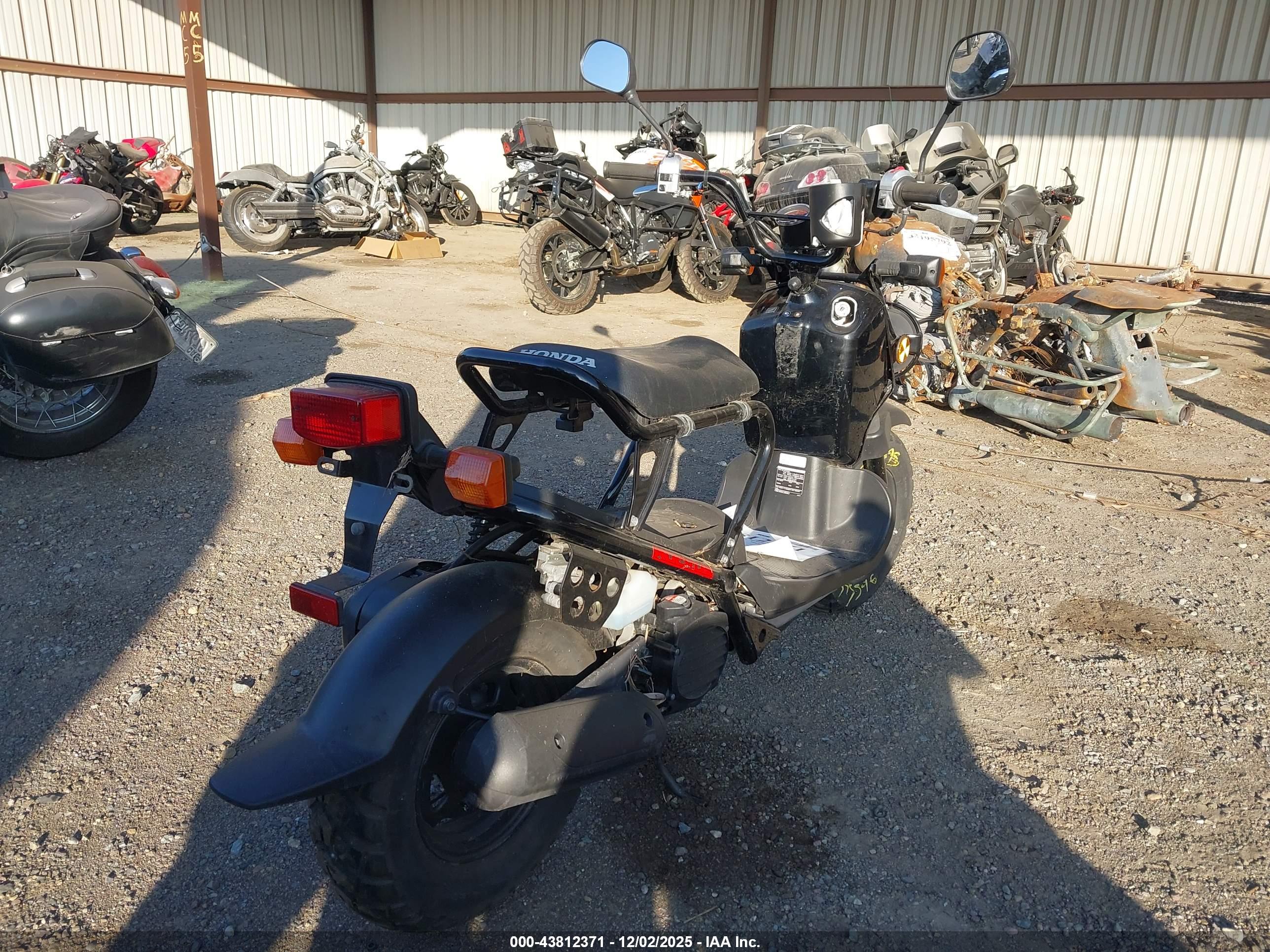 HONDA NPS50 image 4