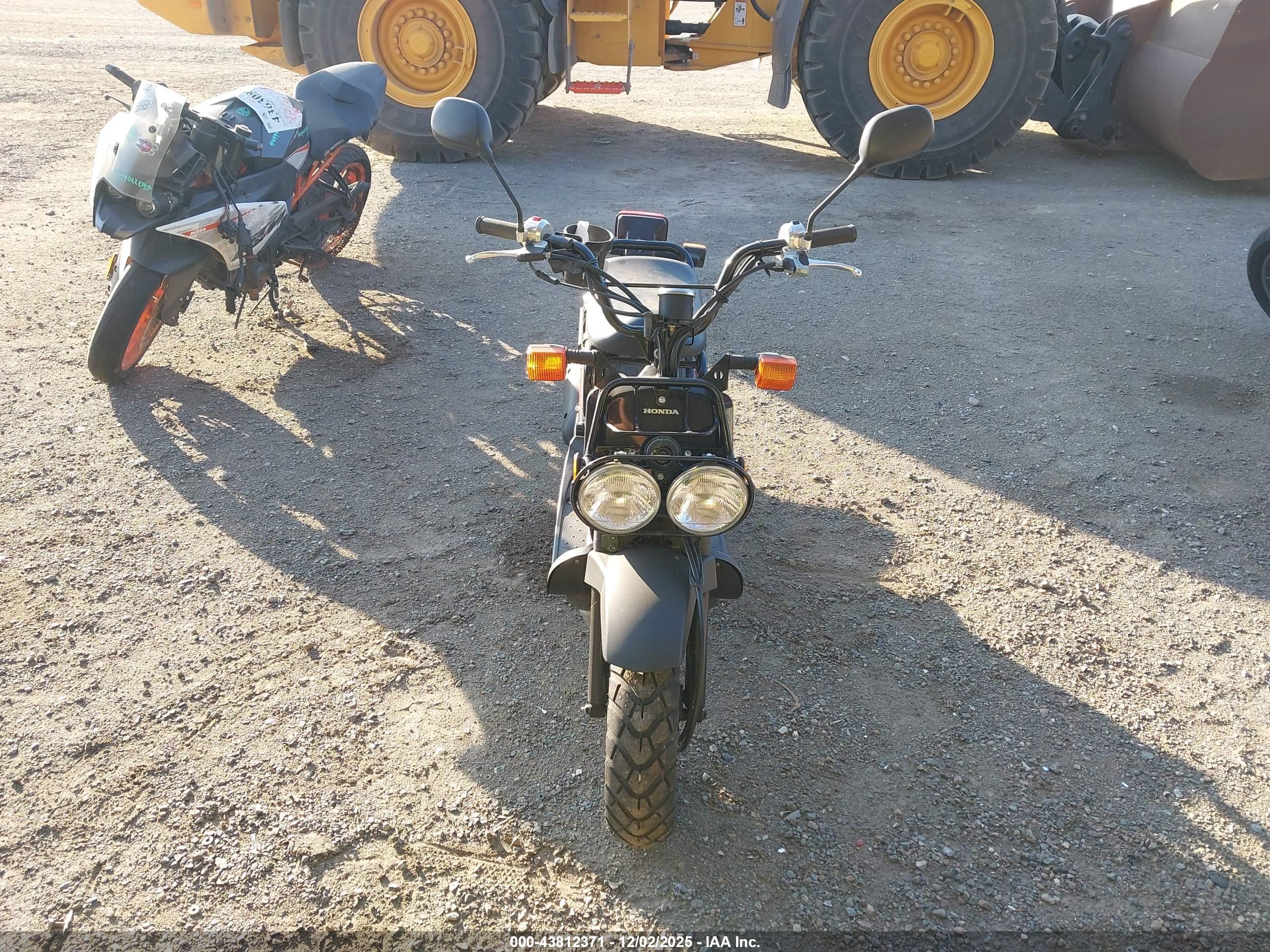 HONDA NPS50 image 5