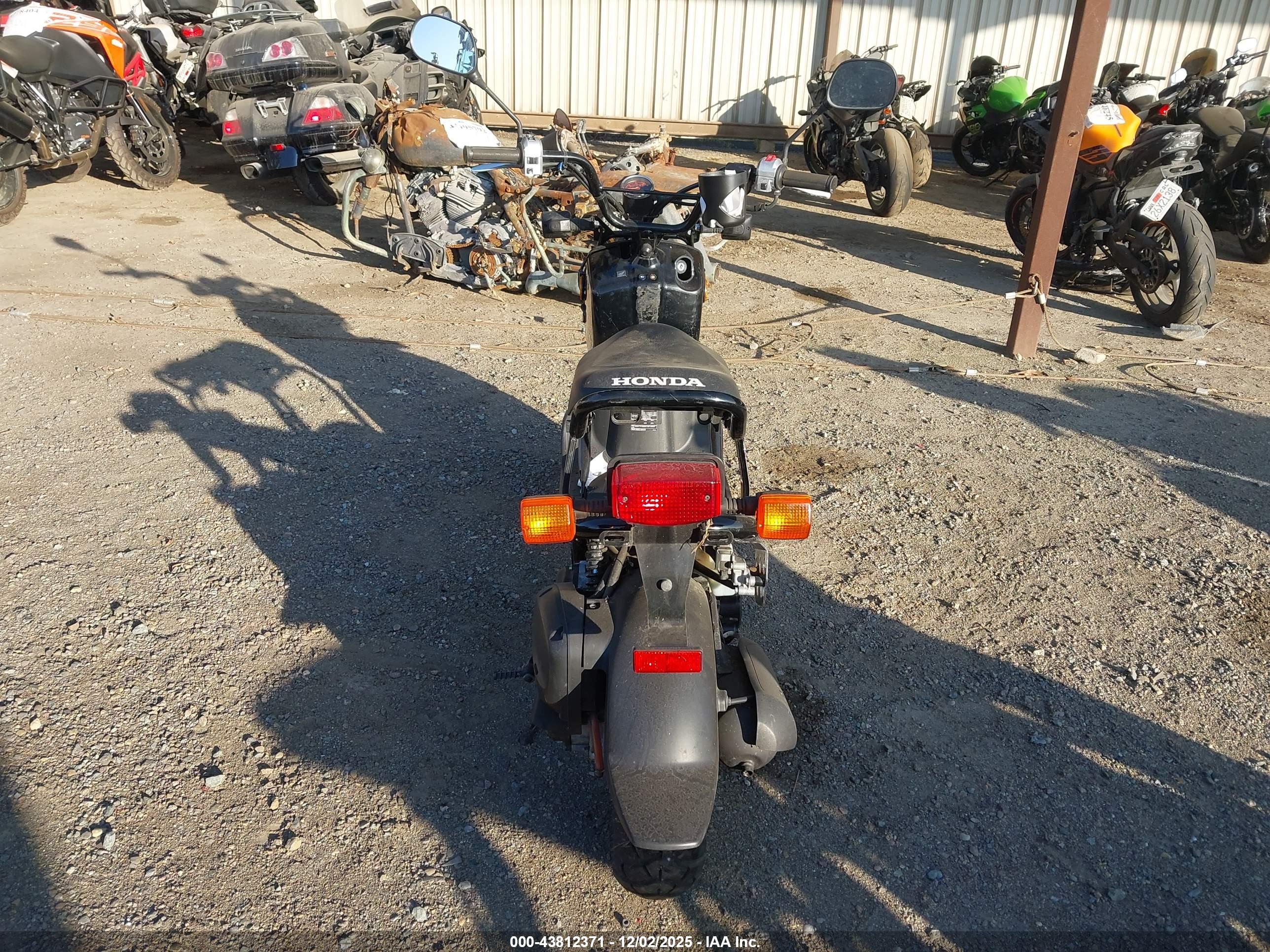 HONDA NPS50 image 6