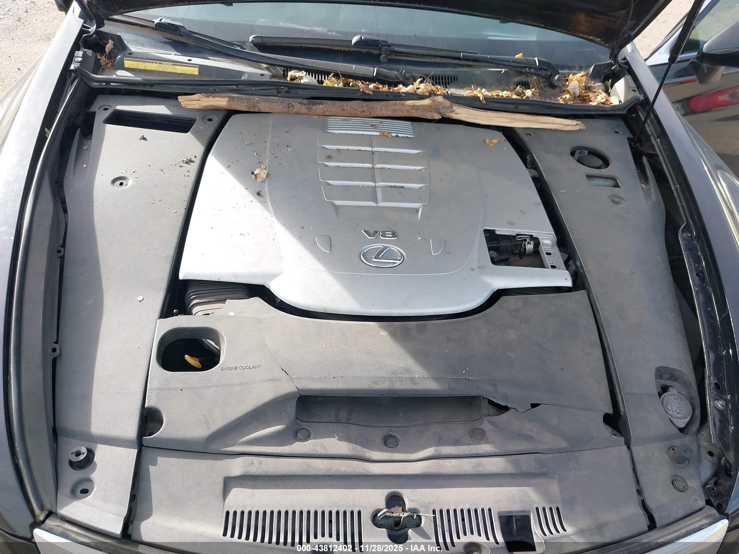 LEXUS LS image 10