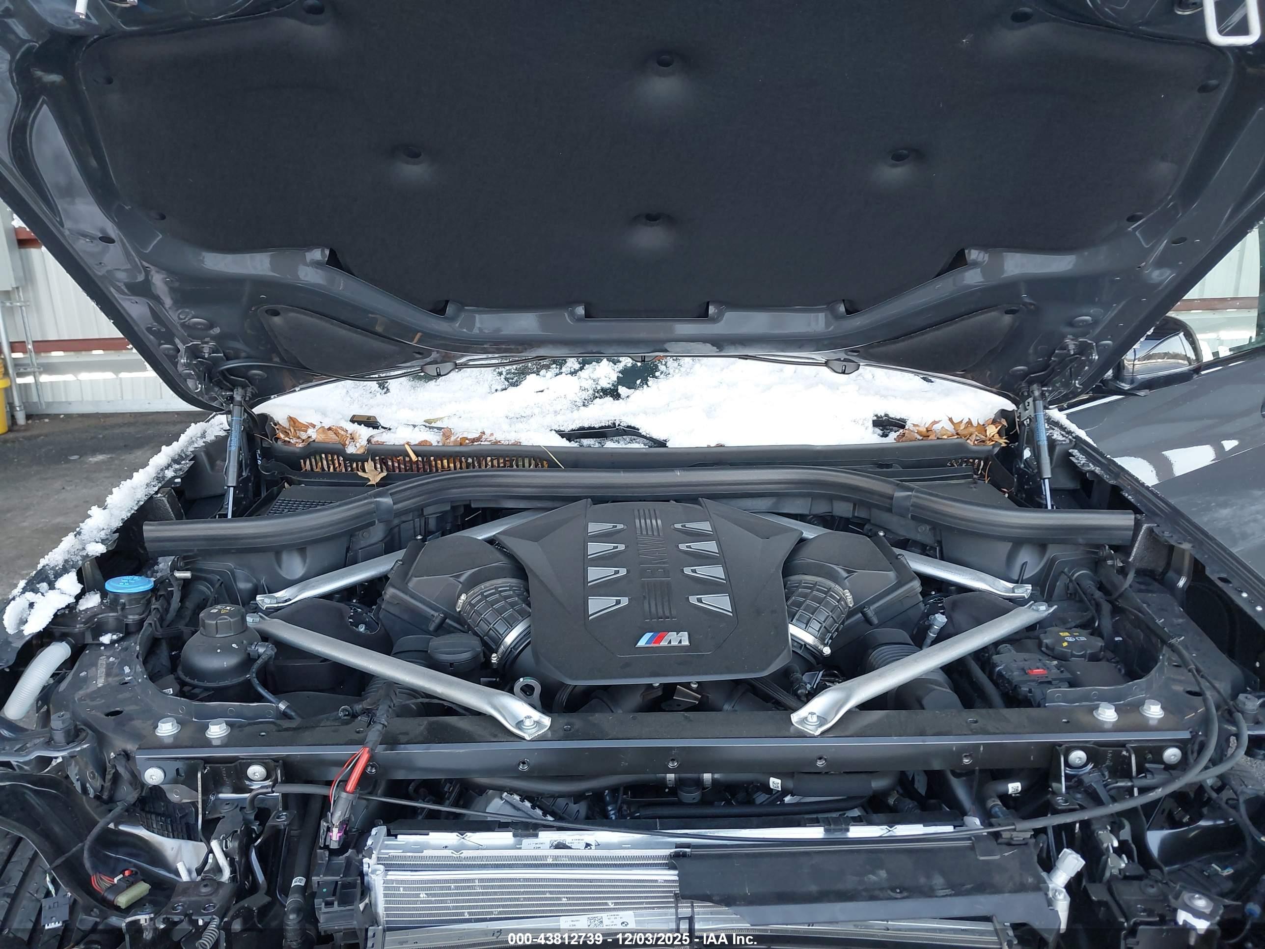 BMW X7 image 10